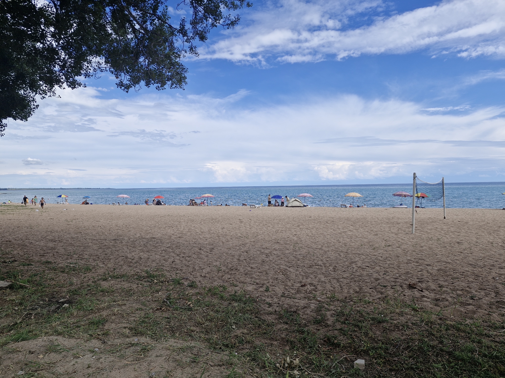 The image depicts a wide, sandy beach on a clear day with a bright blue sky and scattered white clouds. In the foreground, there is a patch of dry grass and sand, with some fallen leaves and debris. A large tree branch with dark green leaves extends from the top left corner of the frame, partially obscuring the sky.
The beach itself is populated with several people and beach umbrellas. Towards the left side of the image, a group of people are walking along the shoreline. Further down the beach, numerous colorful umbrellas are scattered, providing shade for beachgoers who are seated or standing. A white tent is visible in the middle distance.
In the background, the calm blue water of a large body of water, likely a lake given the location, stretches to the horizon. A volleyball net with white poles and a net is set up on the beach near the water's edge, on the right side of the image. The overall scene conveys a relaxed atmosphere of a summer day at the beach. The location is identified as Bulan-Segettu, Kyrgyzstan.