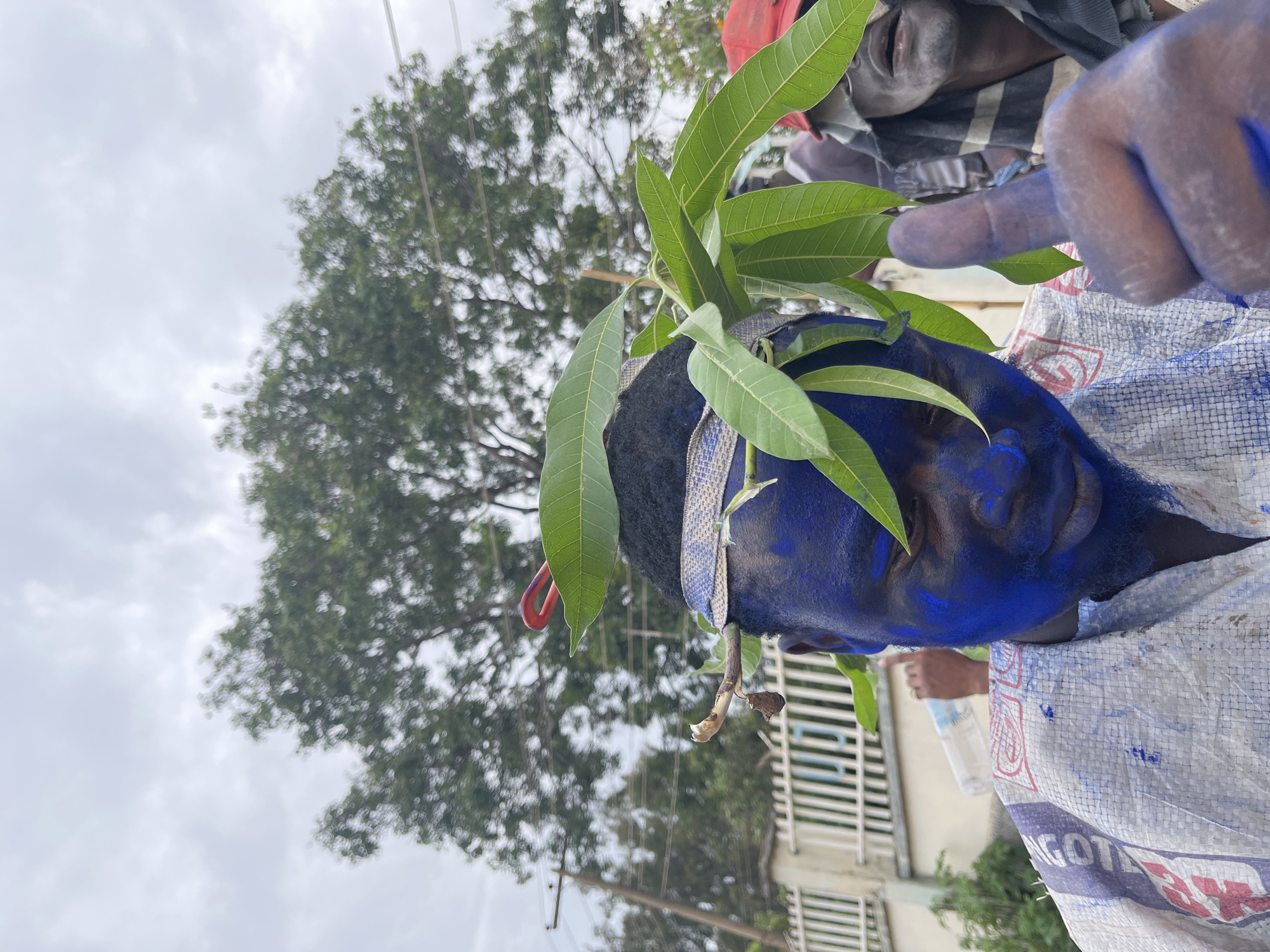 In Jos, Nigeria, a man with his face and hands painted blue gives a thumbs-up, adorned with a crown of green leaves and a twig. He wears a white, patterned garment, possibly a sack, with blue paint splatters. Behind him, another man with a red cap and dark clothing observes, while a blurry background reveals a white fence, a utility pole, and trees under a cloudy sky. The overall scene suggests a festive or ceremonial gathering.