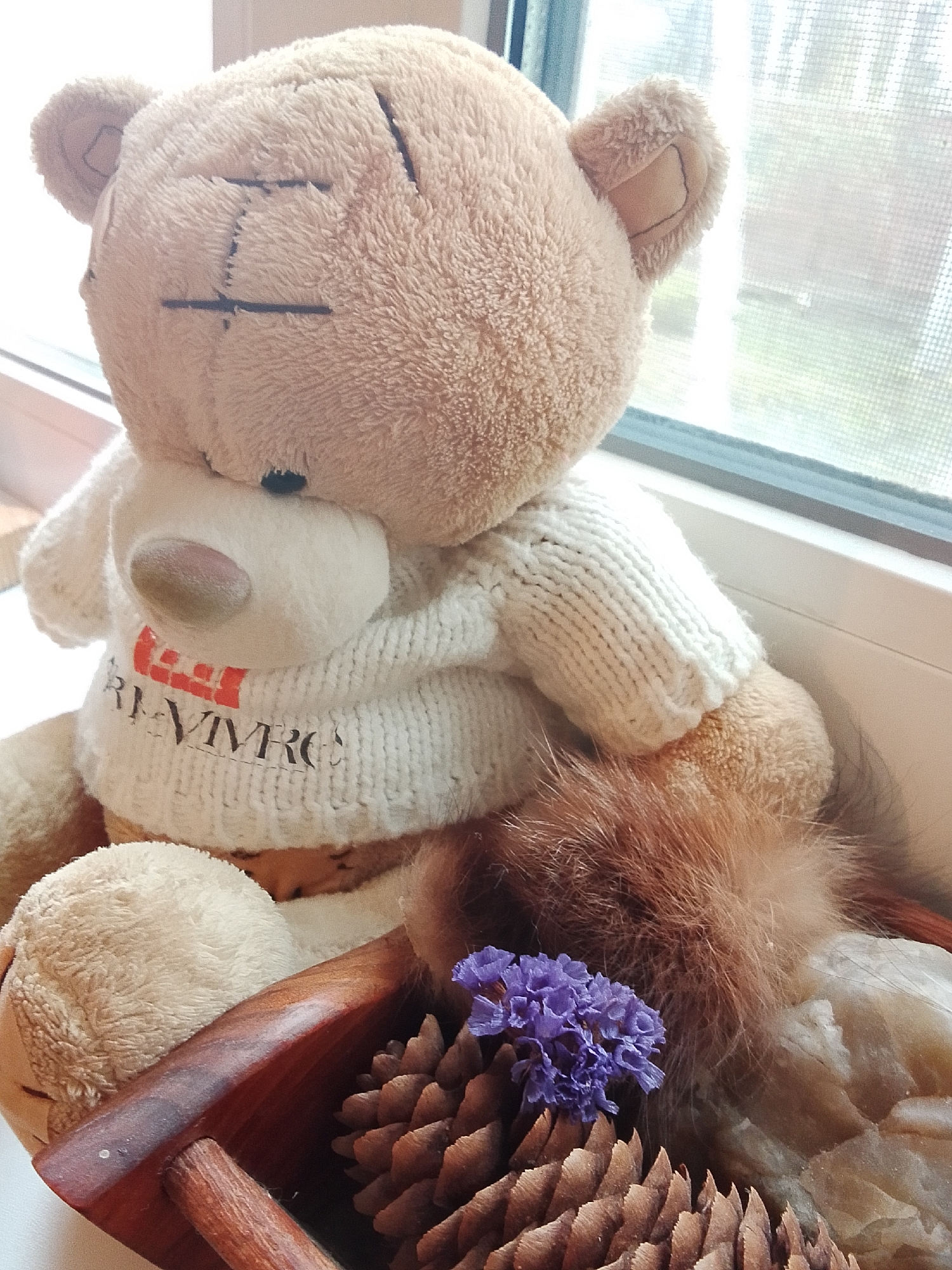 A close-up shows a teddy bear wearing a white sweater with red and black lettering, seated in a wooden container. Inside the container, along with the bear, are pinecones, a purple flower, and what appears to be fur or feathers. The bear is positioned near a window. The location is not discernible from the image.