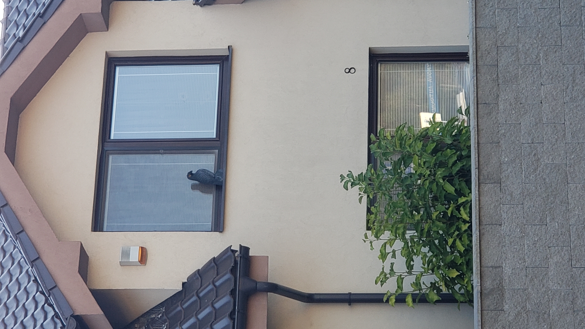 A falcon-shaped object is perched on the ledge of the upper window of a beige building. The building has a dark brown roof with visible tiles and a white fascia. To the left of the upper window, a white and orange alarm box is mounted on the wall. Below the upper window, a lush green bush is growing in front of a lower window. The number "8" is visible on the wall between the upper and lower windows. The lower portion of the image shows a grey brick wall. This scene is located in Bratislava, Slovakia.