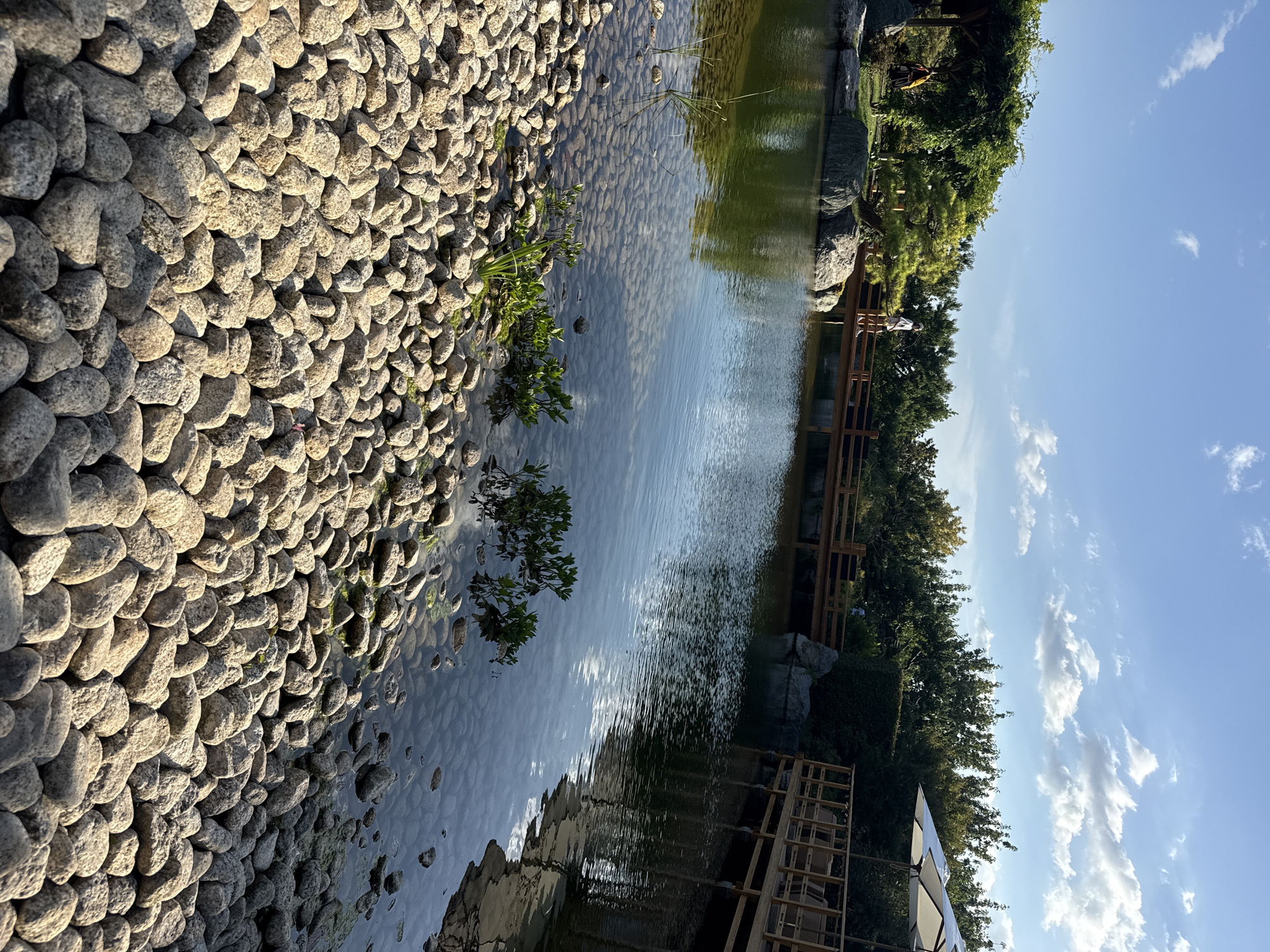 The image depicts a tranquil park scene with a pond and a wooden bridge. The foreground is dominated by a bank of smooth, light-colored river stones. In the mid-ground, a clear pond reflects the sky and surrounding trees. The water is shallow enough in some areas to see the rocky bottom. A wooden bridge crosses the pond, and a lone person in white clothing is visible standing on it. To the right of the pond, a wooden deck with chairs and a white umbrella suggests a seating area. Lush green trees and foliage line the background, with a hint of a covered structure on the far left. The sky is a clear blue with scattered white clouds. The image appears to have been taken on a sunny day, likely in a public garden or park setting. The location specified in the prompt, Симеизкий поселковый совет, Ukraine, is not visually verifiable from the provided image.