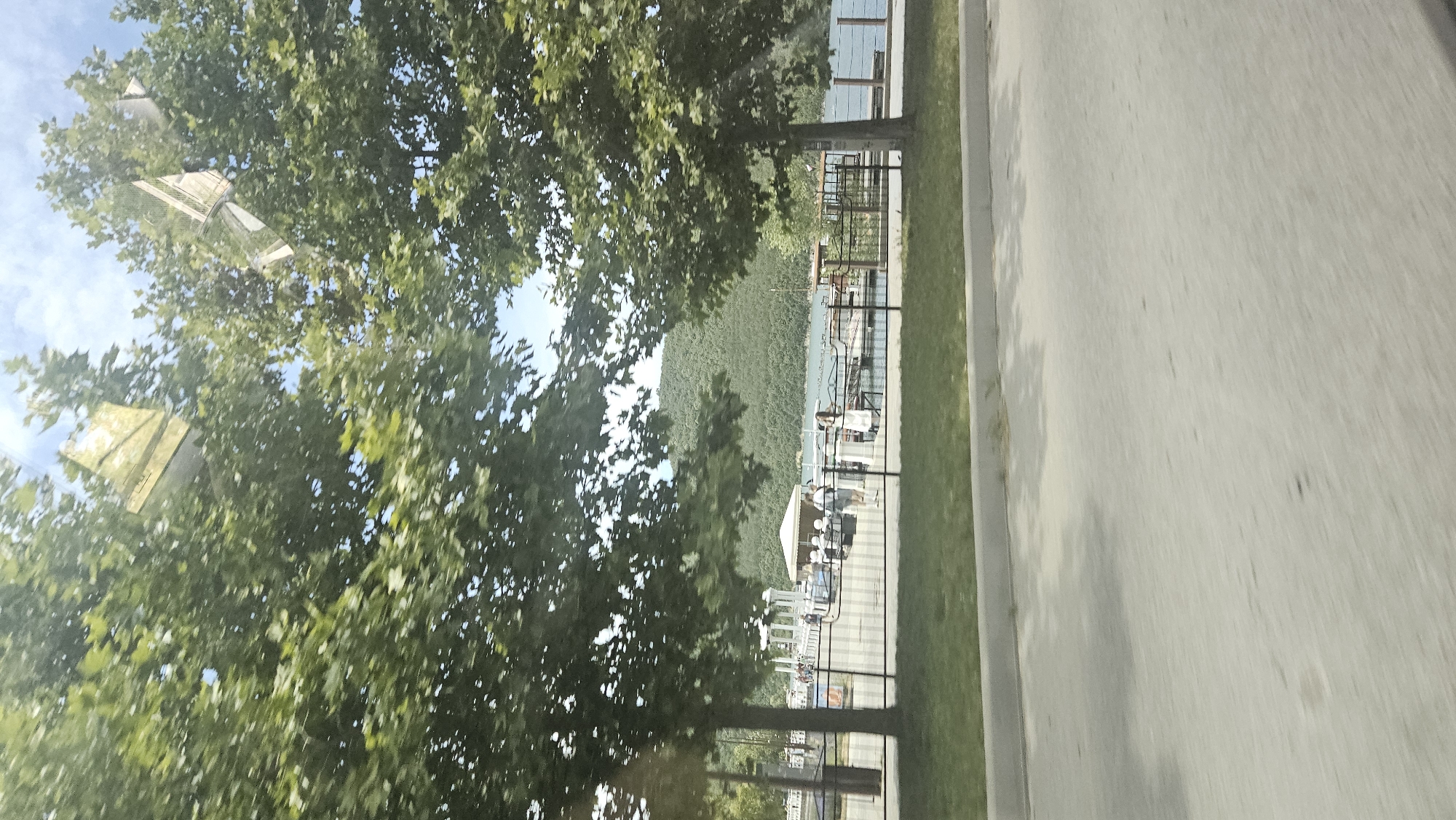 The image depicts a waterfront scene, likely in Abrau-Dyurso, Russia, on a sunny day. Two large trees with green foliage frame the view. In the middle ground, a paved area runs alongside a body of water. A black metal fence separates the paved area from the waterfront. Beyond the fence, several people are visible. Some are gathered near a white gazebo structure, while others stand on a dock. A white tent or canopy is also present. The water appears calm, and a distant, tree-covered hill forms the backdrop. The foreground shows a blurred grey paved surface, suggesting the photo was taken from a moving vehicle. Reflections of a building and the sky are visible on the windows of what appears to be a vehicle.