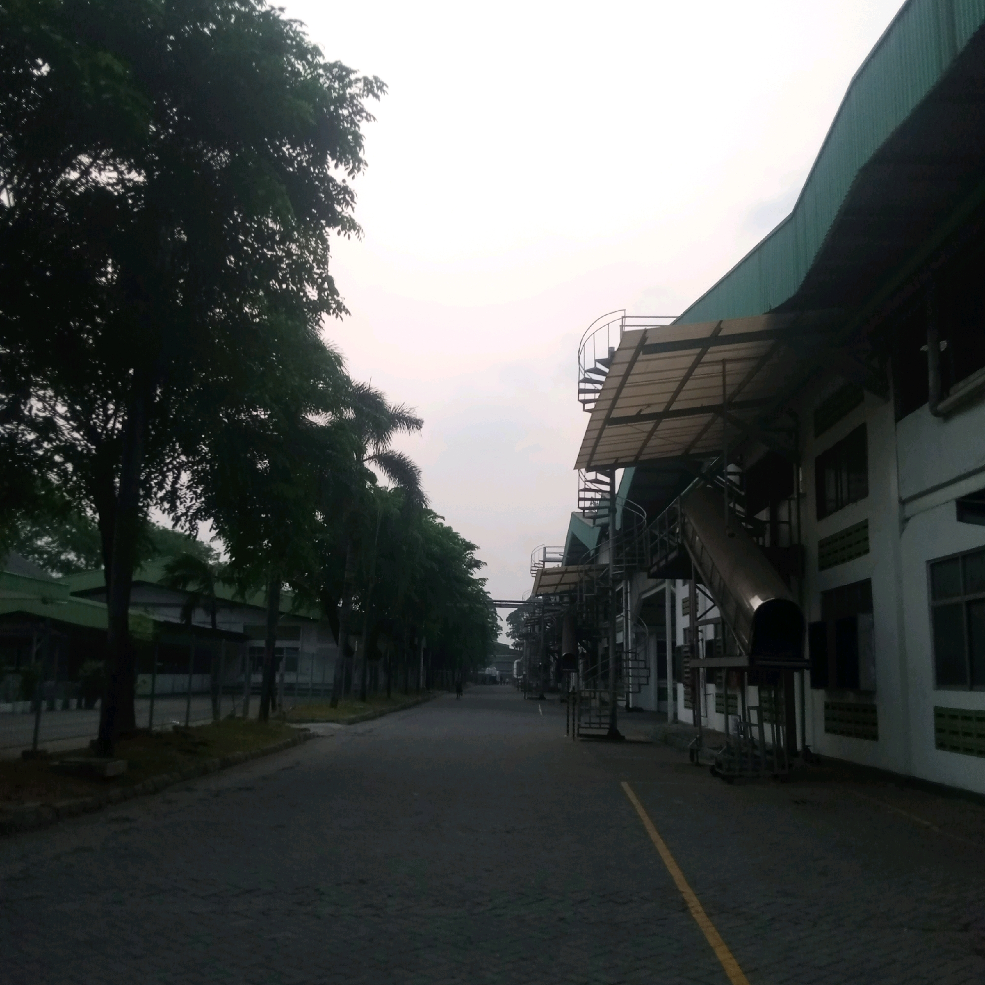 The image depicts a street scene at an industrial facility in Cijeruk, Indonesia. The sky is overcast, suggesting early morning or late afternoon lighting. On the left side of the image, a line of trees with dense foliage runs along the edge of a paved road. Beyond the trees, there appears to be a low-lying building with a green roof, possibly part of the industrial complex.
The right side of the image features a multi-story building with white walls and green-tinted windows. Several spiral staircases and covered walkways are visible on the exterior of this building, indicating outdoor access points or fire escapes. A large, curved chute or slide is attached to one section of the building, extending downwards from an upper level. The road is paved with interlocking bricks and has a yellow line marking. In the distance, several indistinct figures are present on the road, suggesting human activity within the facility. The overall impression is one of an operational industrial environment under a muted sky.