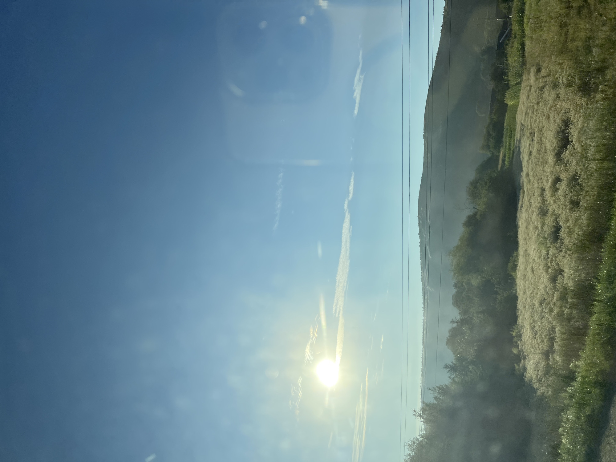 This is a landscape photograph taken in Oleshiv, Ukraine. The image depicts a sunlit field of tall grass in the foreground, with a line of trees and a gently sloping hill in the background. The sky is a clear blue with a few wispy clouds and the sun is bright, casting a soft glow over the scene. There are also power lines visible running across the middle ground. The overall impression is one of a peaceful, rural setting.