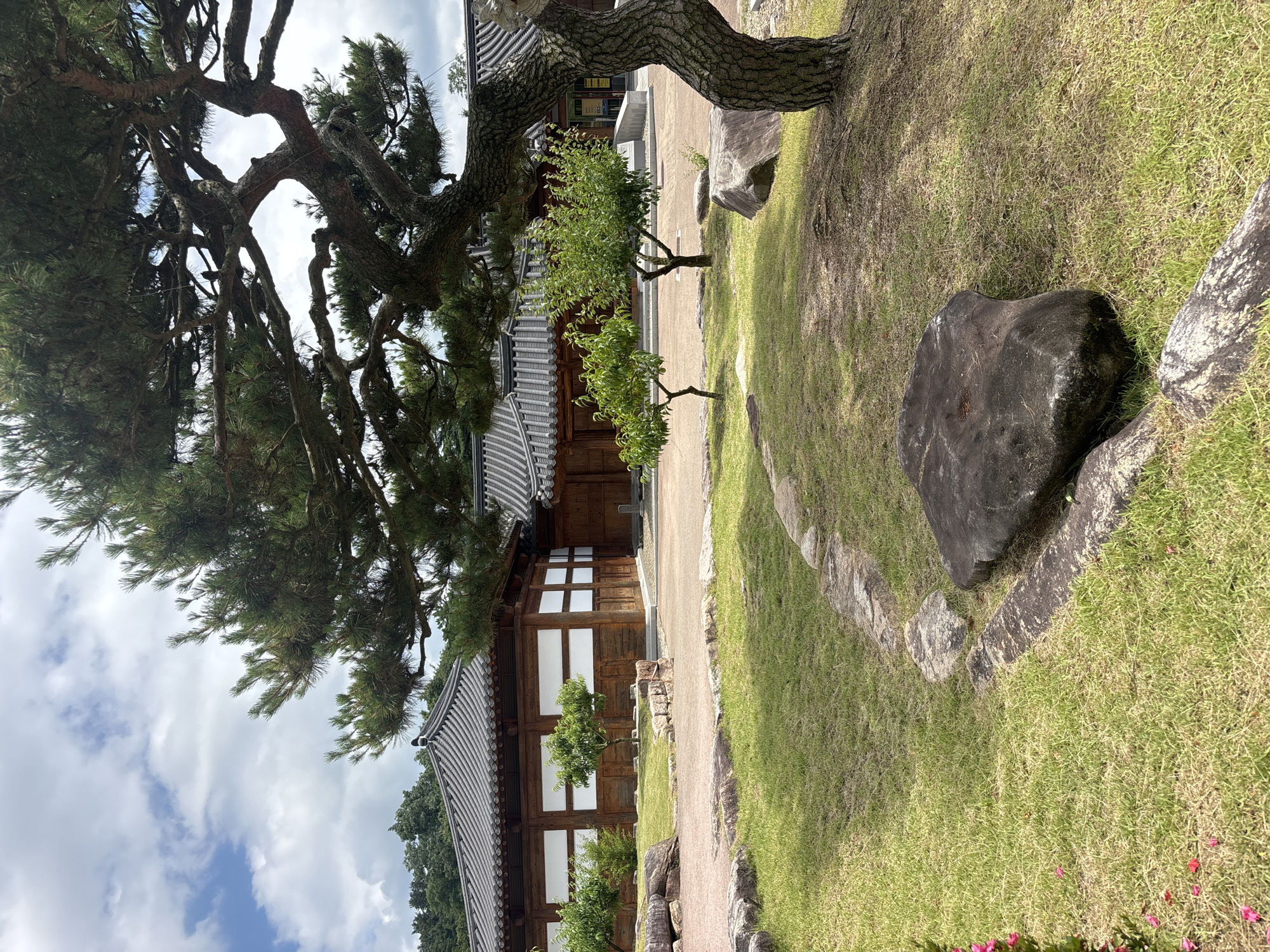 The image depicts a serene courtyard of a traditional Korean building in Gyeongju-si, South Korea. A large, gnarled pine tree dominates the foreground, its branches extending over a meticulously maintained lawn. Several large, rounded stones are strategically placed in the grass, adding to the natural aesthetic. A winding path of smaller stones guides the eye towards the building.
The building itself features a dark, tiled roof with gracefully curved eaves, characteristic of traditional Korean architecture. The walls are constructed of warm-toned wood, with sections of white paneling. Several small, leafy trees are planted in the courtyard, providing pockets of lush greenery. The sky above is a mix of blue and white clouds, suggesting pleasant weather. The overall impression is one of tranquility and historical preservation.