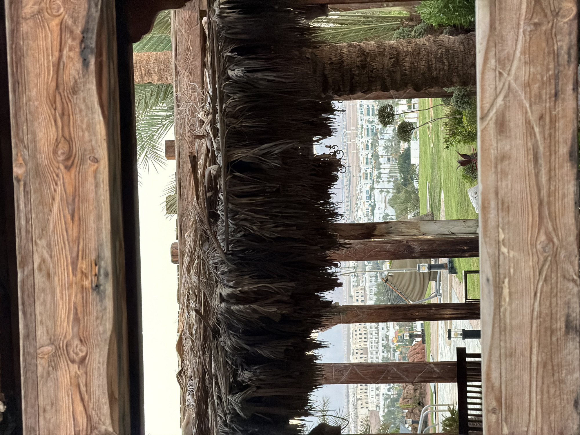 The image shows a view of a resort area in Sharm El Sheikh, Egypt, framed by a wooden structure with a thatched roof. In the foreground, there is a wooden beam and more thatched material. Beyond this, a lush green lawn is visible, with scattered trees and shrubs. In the mid-ground, a swimming pool area with lounge chairs can be seen, along with some resort buildings in the distance. The backdrop features a cityscape with numerous white buildings and palm trees, suggesting a dense urban or resort development. The sky is overcast and bright. There are no people visible in the frame. The scene depicts a tropical resort environment.