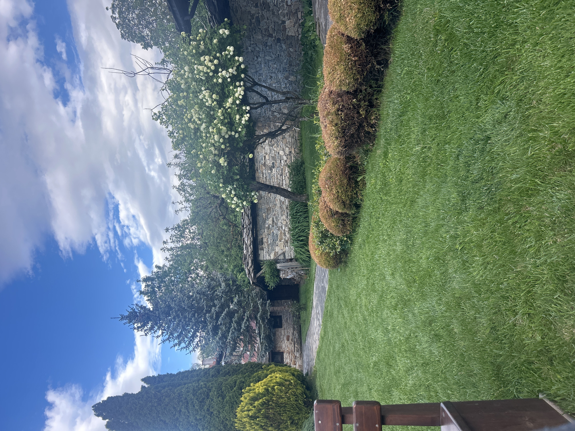 The image shows a meticulously maintained garden landscape in Dolen, Bulgaria, adjacent to traditional stone buildings. A vibrant green lawn dominates the right side of the frame, bordered by a row of neatly trimmed, rounded bushes exhibiting hues from brown to green. A stone pathway cuts through the lawn, leading to a small stone building with a dark doorway. The stone structures feature characteristic stacked stone construction, typical of the region. Lush trees and bushes flank the pathway and buildings, including a tree laden with white blossoms. In the background, a partial view of a cloudy, blue sky is visible. A portion of a wooden bench occupies the lower part of the frame.