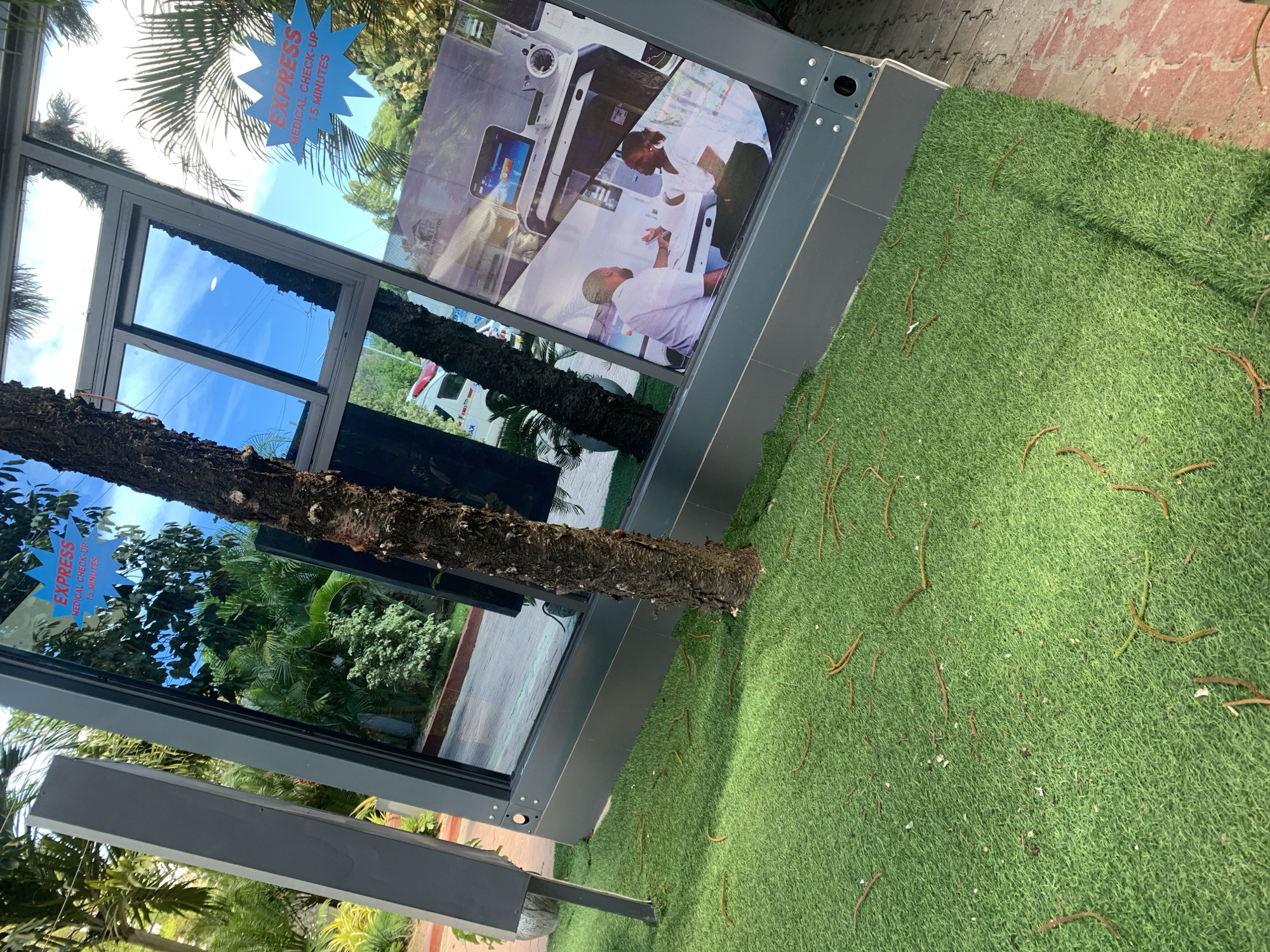 The image depicts a medical facility offering "Express Medical Check-up - 15 minutes". The facility features large windows with reflections of trees and sky. The exterior is bordered by a patch of green artificial turf. The location is Dar es-Salaam, Tanzania.