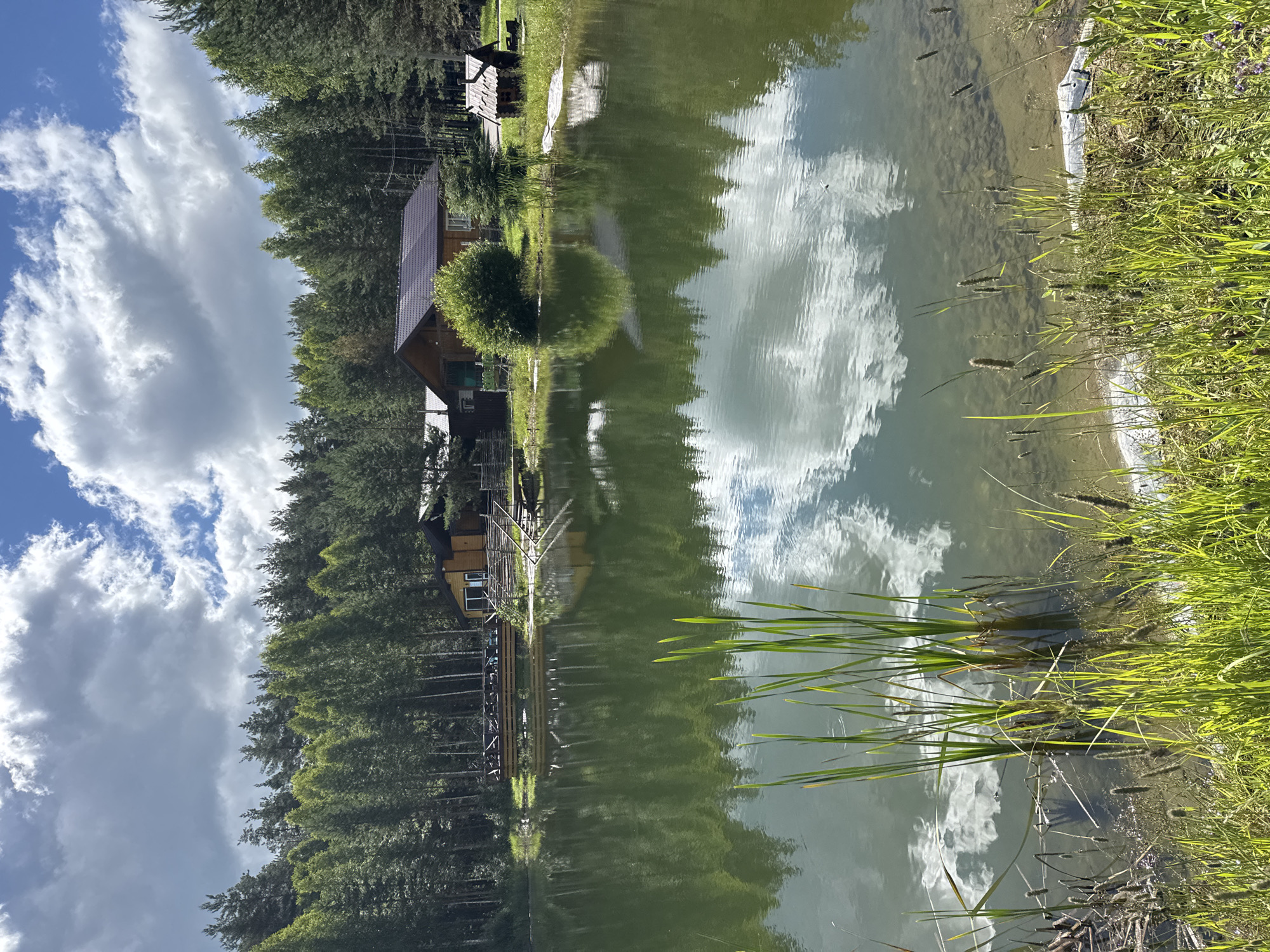 A serene, natural landscape is depicted, featuring a tranquil lake with a dense forest lining its far bank. The water's surface reflects the sky, complete with scattered clouds, and the surrounding trees. Several wooden structures are visible along the lakeside, including a large house with a dark roof, a smaller, rustic wooden shed, and a wooden deck or pier extending over the water. The foreground is characterized by lush green grass and tall reeds growing at the water's edge. The sky above is a mix of blue sky and dramatic white and grey clouds, suggesting a dynamic weather system. The overall impression is one of peaceful, rural seclusion. The location is identified as Vorsma, Russia.