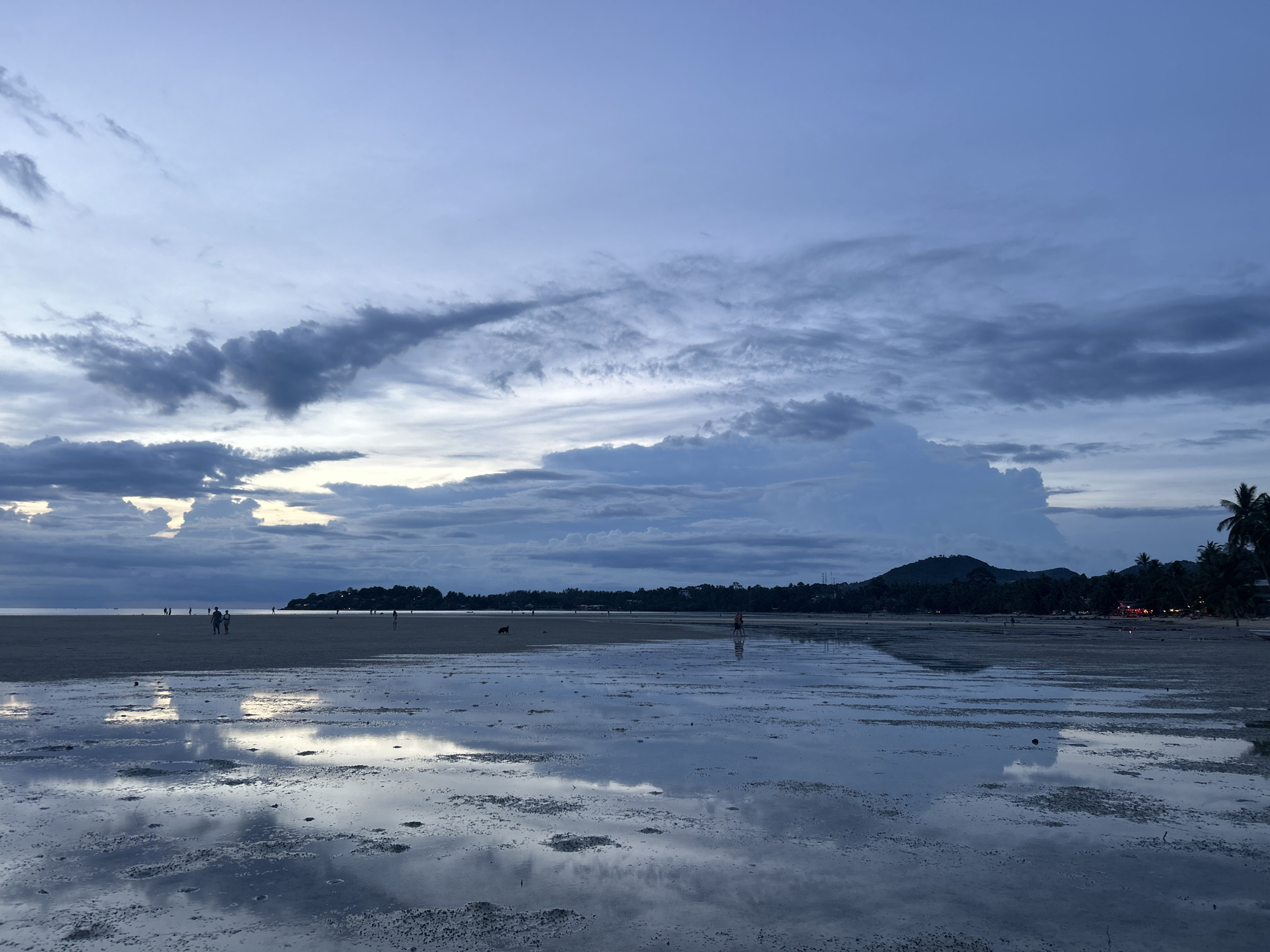 The image depicts a serene beach scene at dusk in Koh Phangan, Thailand. The sky is filled with dramatic, moody clouds in shades of gray and deep blue, with hints of yellow light breaking through on the horizon. The low tide has left vast expanses of wet sand, reflecting the cloudy sky like a mirror.
Several figures are scattered across the beach, appearing as silhouettes against the dim light. Some are walking, suggesting a leisurely stroll, while others are further in the distance. A dog can be seen trotting along the wet sand. The distant shoreline is lined with lush green vegetation and dark hills, topped with trees that are characteristic of a tropical environment. Palm trees are visible on the right side of the frame, further reinforcing the tropical location. Some distant lights glow along the coastline, indicating a village or resort area.
The overall atmosphere is one of tranquility and quietude. The soft, diffused light suggests it is either early morning or late evening, with the colors of the sky and the reflections on the sand creating a peaceful and slightly melancholic mood. The time of day is clearly dusk, with the fading sunlight casting long shadows and softening the landscape. There is no visible text in the image.