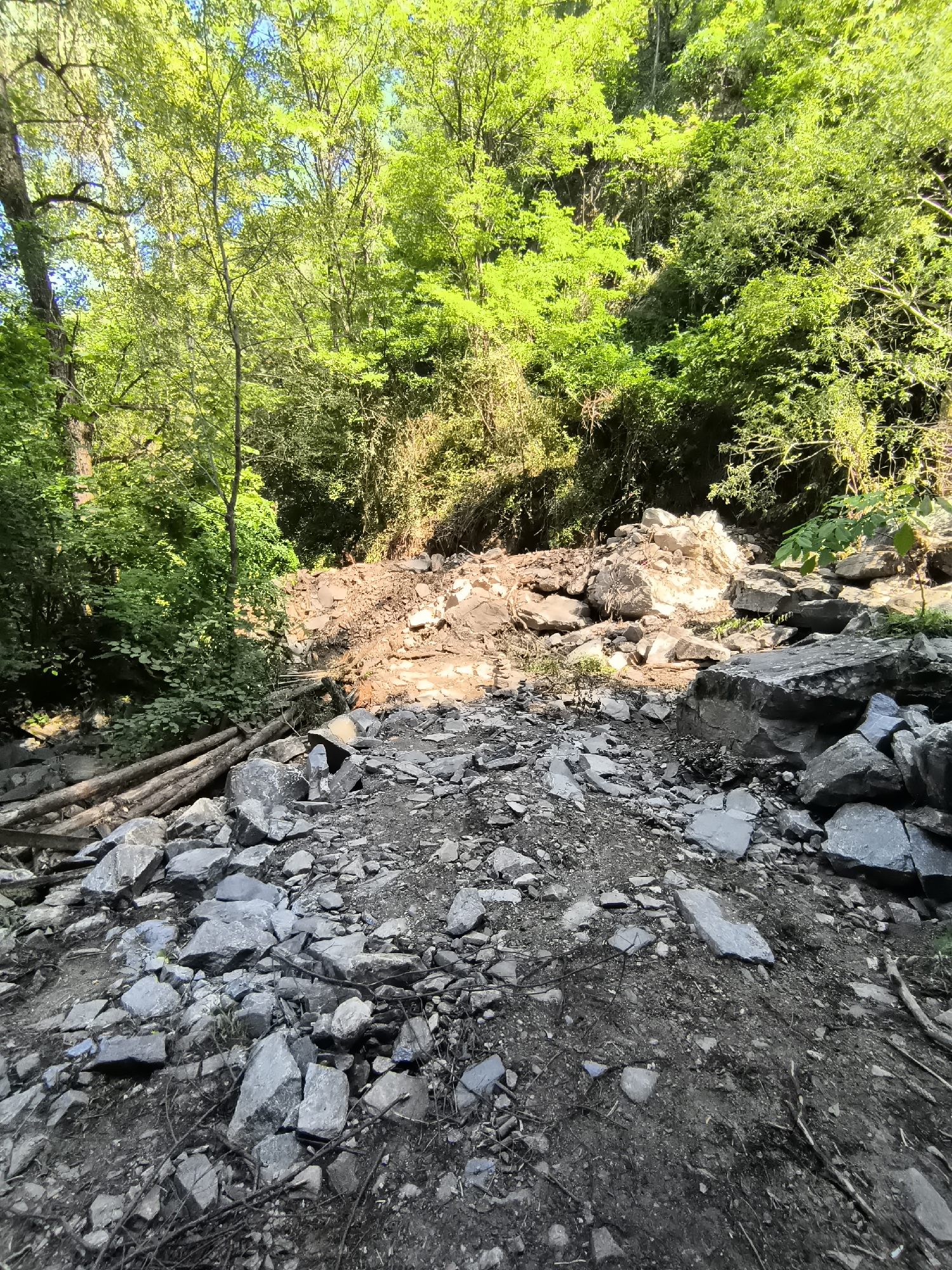 The image depicts a rocky, debris-strewn area within a forested environment, likely in the vicinity of Kovachevitsa, Bulgaria. In the foreground, a dense collection of grey rocks of various sizes covers the ground. Several fallen logs are visible to the left, partially embedded in the debris. Further into the scene, a large pile of reddish-brown soil and rocks obstructs the path, suggesting a recent landslide or collapse. The background is dominated by lush green trees and foliage, with sunlight filtering through the canopy, creating dappled light on the rocky terrain. The overall impression is one of a natural setting impacted by a geological event, with the surrounding forest appearing vibrant and healthy.