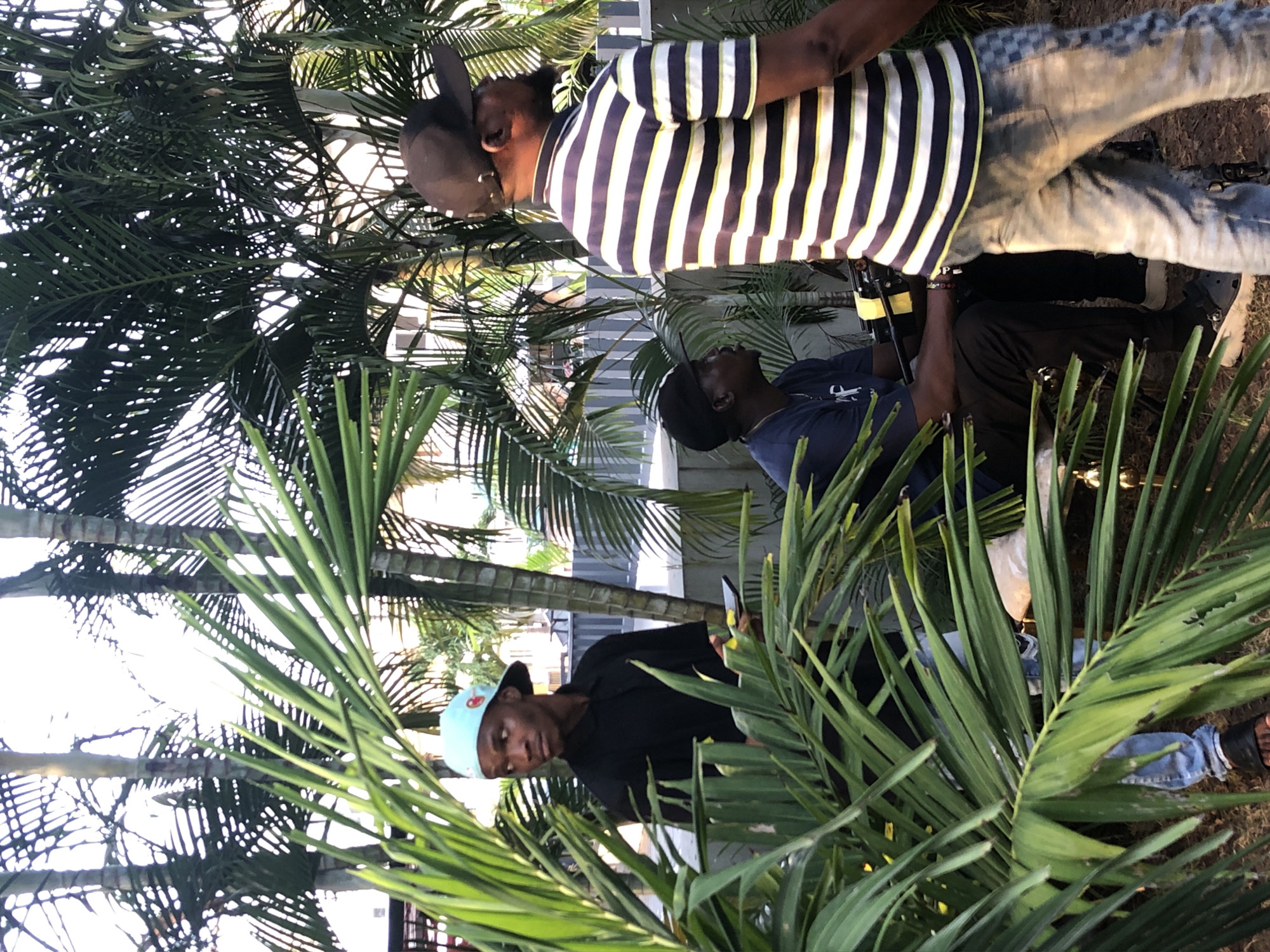 The image shows three individuals in an outdoor setting, potentially a park or garden, in an urban area. Dense foliage, possibly palm trees or similar plants, frames the scene. One individual stands, wearing a striped shirt and jeans. Another person is wearing a black shirt and a light blue hat and looking at the camera. A third person in a dark shirt is seated or crouched nearby.