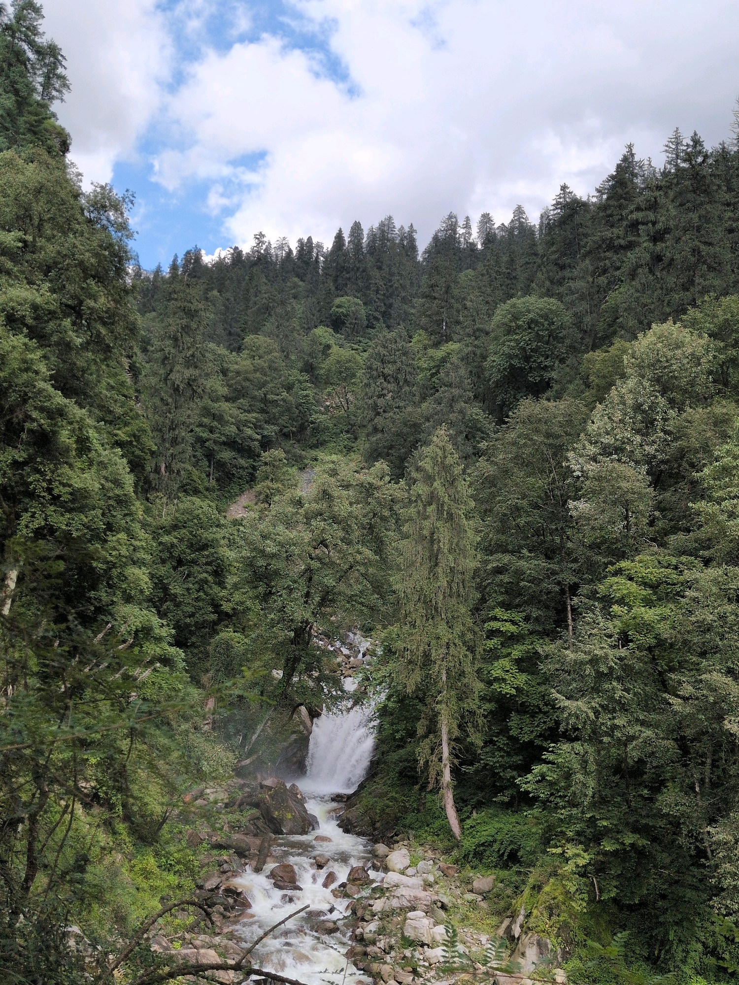 A wide shot captures a lush green forest cascading down a mountainside, leading to a powerful waterfall. The waterfall, a white torrent of water, plunges into a rocky riverbed below, with smaller cascades and rapids flowing downstream. The river is surrounded by large, grey rocks and lush green vegetation. Towering pine trees dominate the landscape, with their dark green foliage creating a dense canopy. The sky above is a mix of dramatic grey clouds and patches of bright blue sky. The image appears to be taken from a slightly elevated perspective, looking down into a valley. This natural scene is located in Dashal, India.