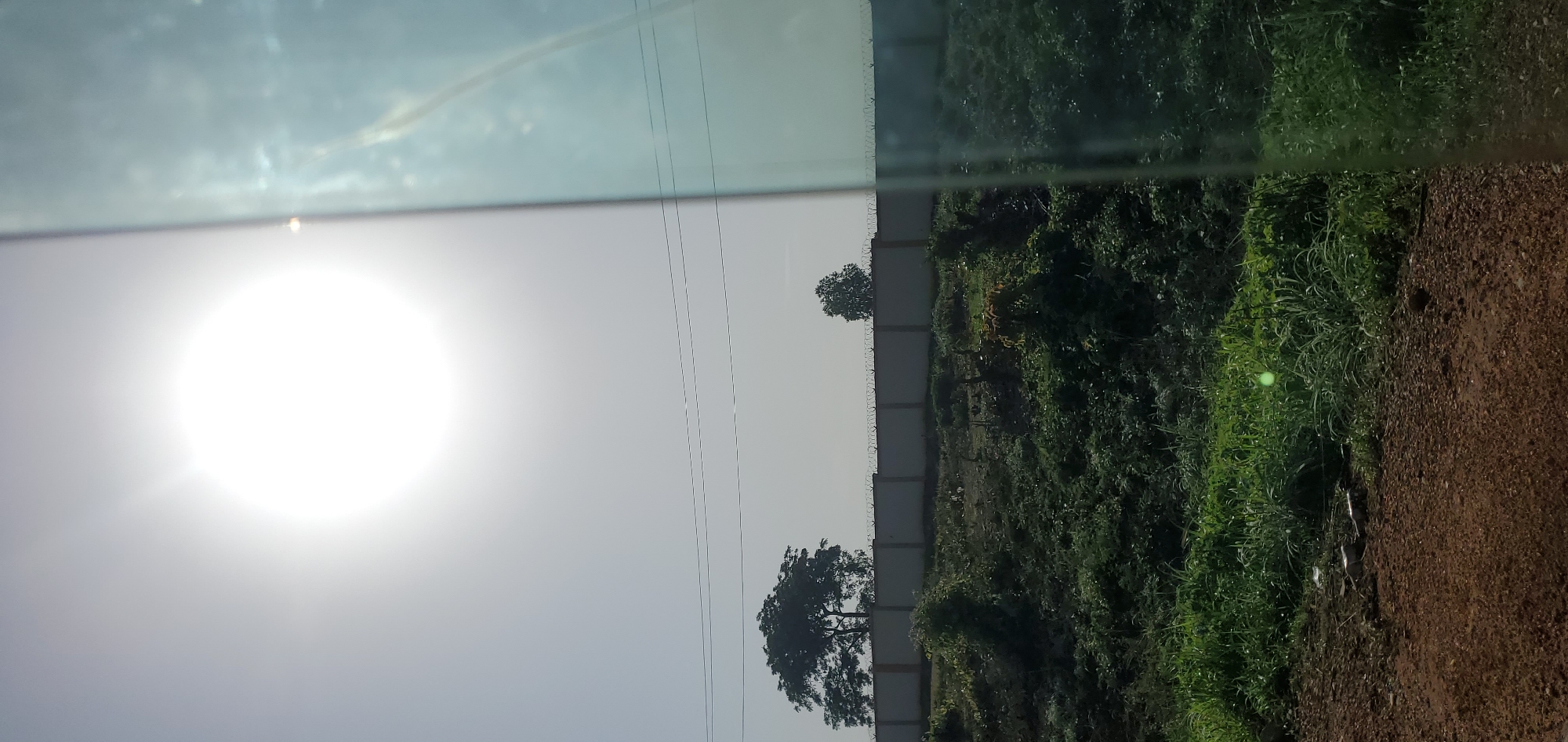 A bright, hazy sun dominates the upper left quadrant of the image, casting a luminous glow across a pale sky. In the mid-ground, a low, light-colored wall stretches horizontally across the frame, topped with barbed wire. Two trees are visible against the sky behind the wall: a larger, fuller tree on the left and a smaller, sparser tree on the right. The foreground consists of overgrown vegetation, appearing as a mix of tall grasses and leafy plants in various shades of green. A dirt path with scattered small stones is visible at the bottom of the image. The right side of the image is obscured by a reflection or tint, which has a bluish-green hue and shows streaks and blurs, possibly from a window. This scene is located in Gwagwada, Nigeria.