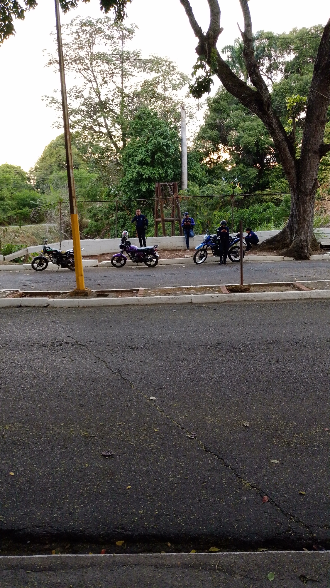 The image depicts a street scene in Tinaquillo, Venezuela. Three motorcycles are parked along the curb. Several individuals are present: one standing and talking on a mobile device, another standing next to a parked motorcycle, and a third squatting near a large tree. A fenced area with vegetation lies beyond the curb and motorcycles. The street surface is paved and shows signs of wear. A yellow pole stands near the curb. The background features trees and vegetation.