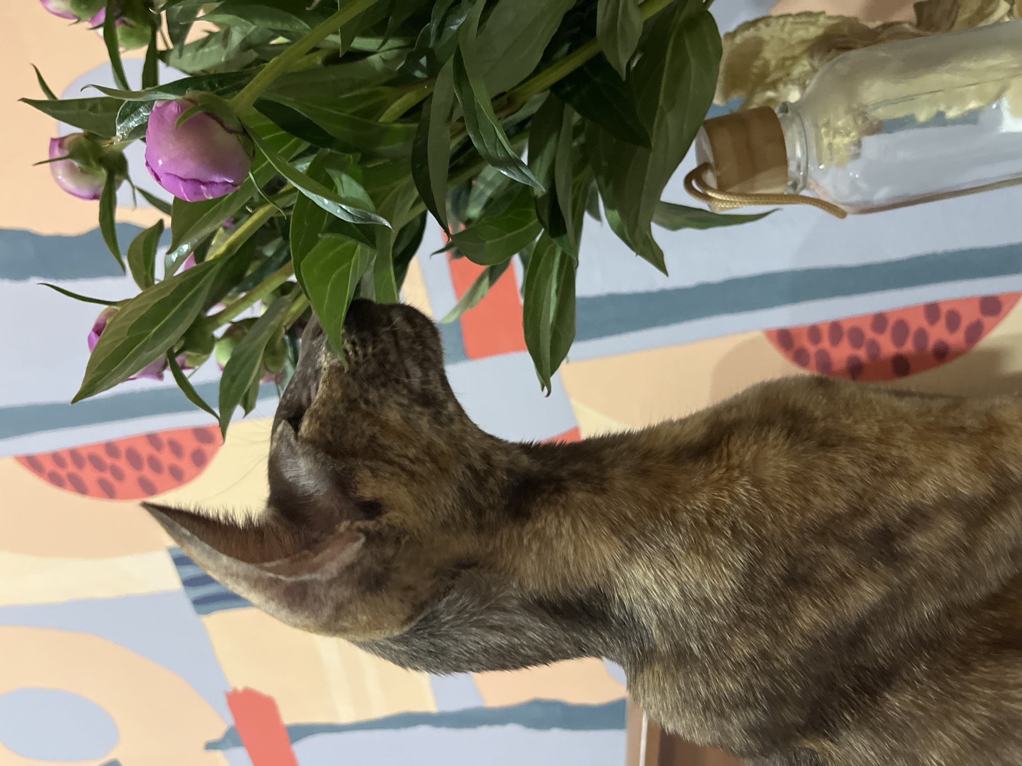 The image shows a brown tabby cat interacting with a bouquet of flowers. The cat's head is positioned among the green leaves and purple flower buds. To the right of the flowers is a clear glass bottle with a cork stopper. The background features a wall with an abstract design in pastel colors. There is no verifiable information to suggest that this photograph was taken in the city of Chaikovsky, Russia.
