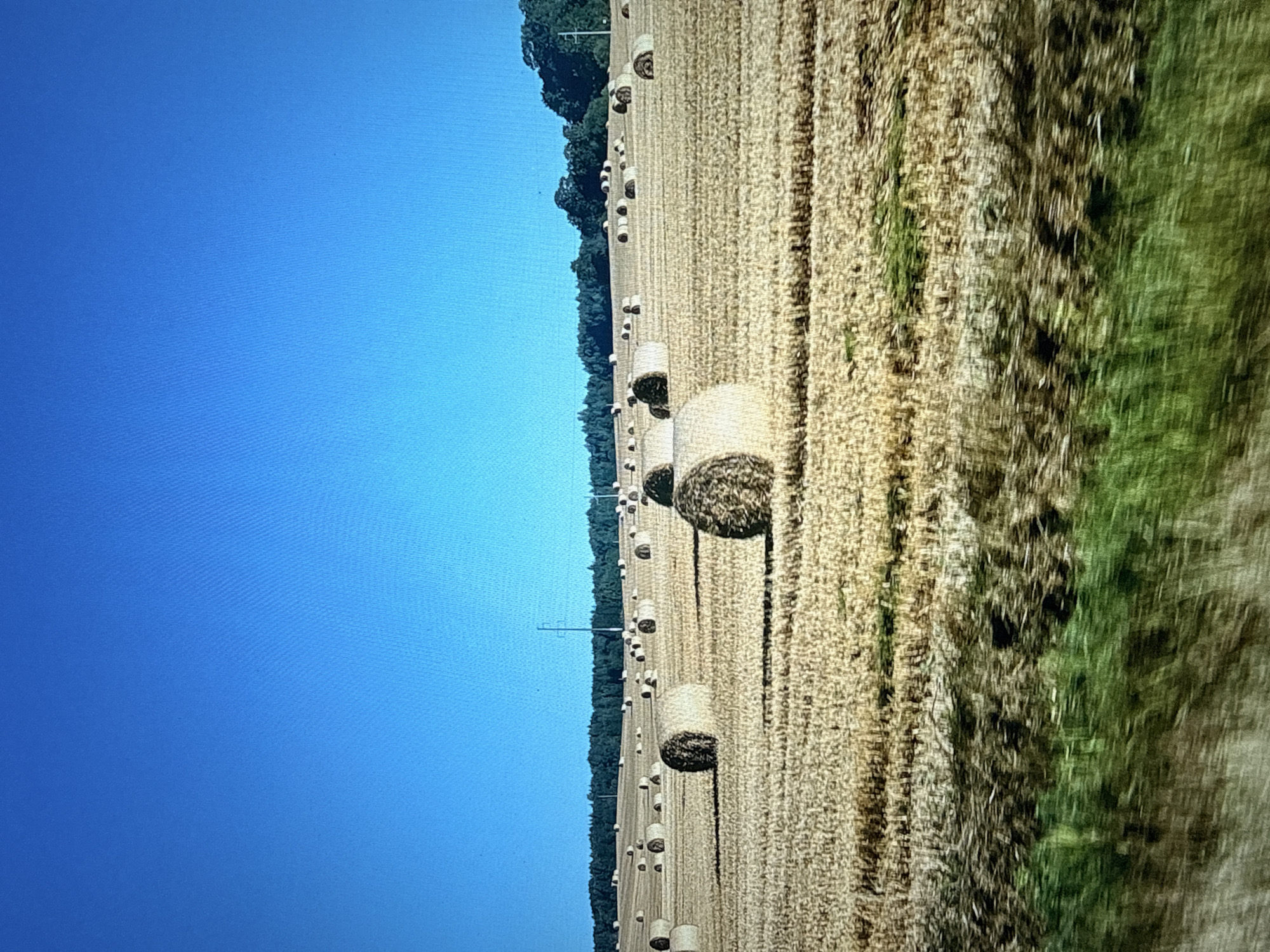 The image shows a wide, dry field of harvested wheat with numerous round hay bales scattered across it. The sky is clear and blue. In the background, a line of dark green trees forms a forest edge, with a single utility pole visible among them. The foreground consists of blurred green and brown foliage, suggesting the photograph was taken from a moving vehicle. The scene is set in the rural area of Galinė, Lithuania.
