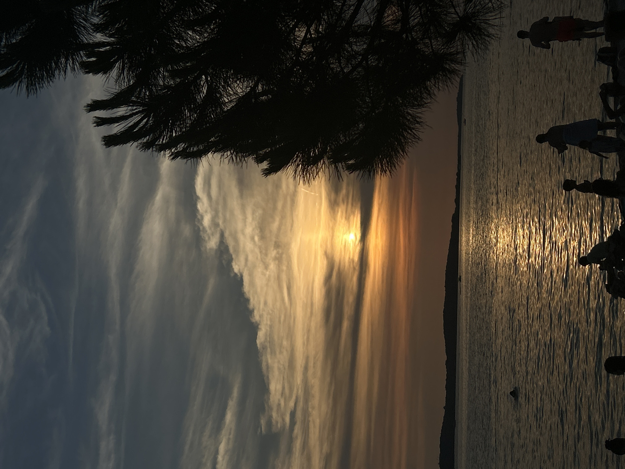 In a scene captured at sunset in an unspecified location, the sky is a canvas of dramatic clouds painted in shades of gray, orange, and yellow. The sun, a radiant orb, is partially obscured by the clouds, casting a golden glow across the rippling water. In the foreground, silhouetted against the twilight, a dense pine tree with its needles forms a dark, jagged frame on the right side of the image. On the shore, several individuals are present, their figures reduced to dark shapes. Some are standing, their forms indistinct, while others appear to be interacting, their stances suggesting casual conversation or observation of the sunset. In the water, one person is visible, their head and shoulders breaking the surface as they swim or float. A distant, dark landmass forms the horizon line, suggesting a coastline or islands. The overall atmosphere is one of tranquility and natural beauty, with the fading light creating a serene and contemplative mood.