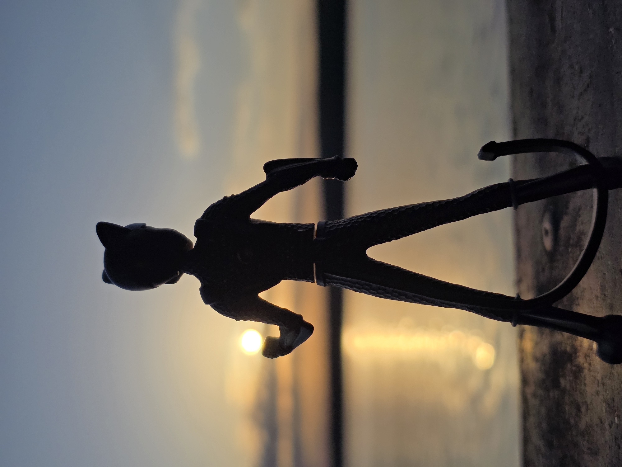 A silhouette of a cat-like toy figure stands against a sunset backdrop. The figure, likely plastic, features pointed ears and a slender body. The sunset creates an orange-to-blue gradient in the background, with the sun's light blurring into a bright spot behind the figure. The figure rests on a horizontal surface, possibly concrete, which has a rough texture. The location is Chaikovsky, Russia.