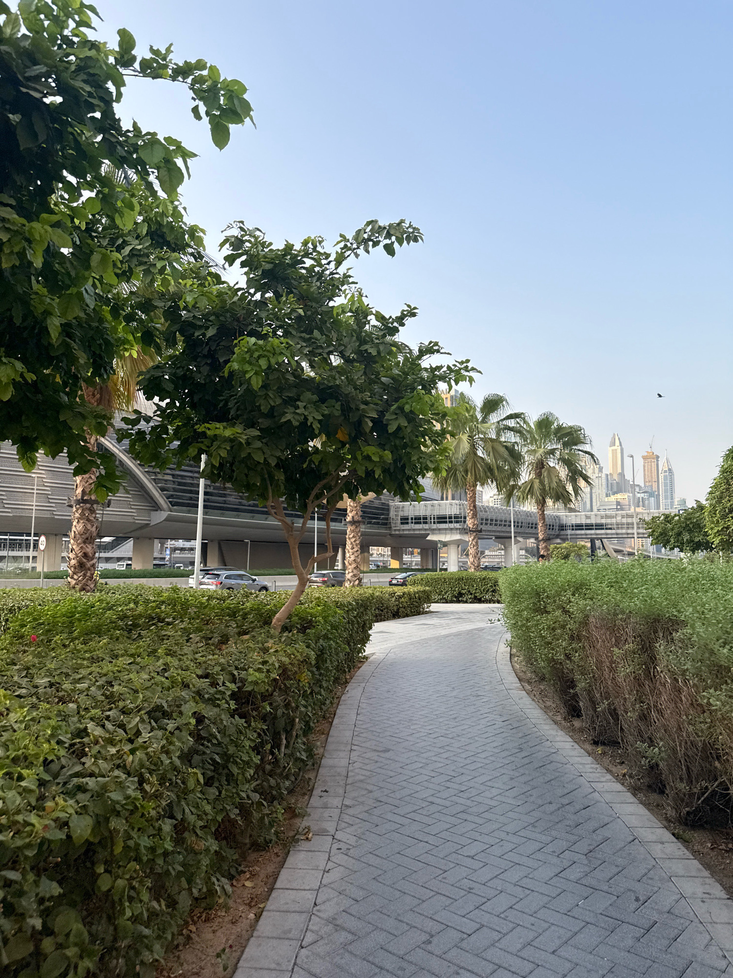 The image depicts a paved walkway curving through a green, landscaped area in Dubai, United Arab Emirates. The walkway is constructed with interlocking gray pavers arranged in a herringbone pattern. Lush, dense green bushes line both sides of the path, with taller trees, including palm trees, interspersed throughout the foliage.
In the background, a modern elevated structure, likely a monorail or tram line, runs parallel to the walkway. Beyond this structure, the distinctive skyline of Dubai is visible, featuring numerous skyscrapers and construction cranes under a clear, pale blue sky. A few cars are visible on a road running beneath the elevated transport system. The scene suggests a well-maintained urban park or public space designed for pedestrian use within the city.