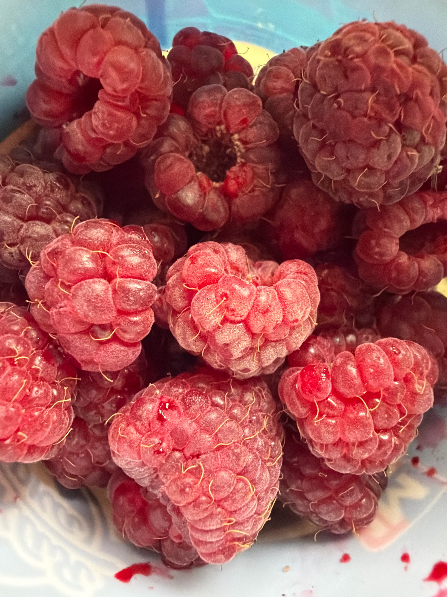 A close-up, overhead shot shows a pile of ripe raspberries in a light blue container. The raspberries are a vibrant red, with visible seeds and delicate, light-colored hairs. Some of the raspberries are slightly bruised, and a few have drops of red juice on them, suggesting they have been recently picked or handled. The background is a blurry, light blue, consistent with the container. The lighting is bright, highlighting the texture and color of the fruit. The scene is a still life, focusing entirely on the raspberries. No people or other objects are visible. The location in Бабініцкі сельскі Савет, Belarus, is not discernible from the image itself.