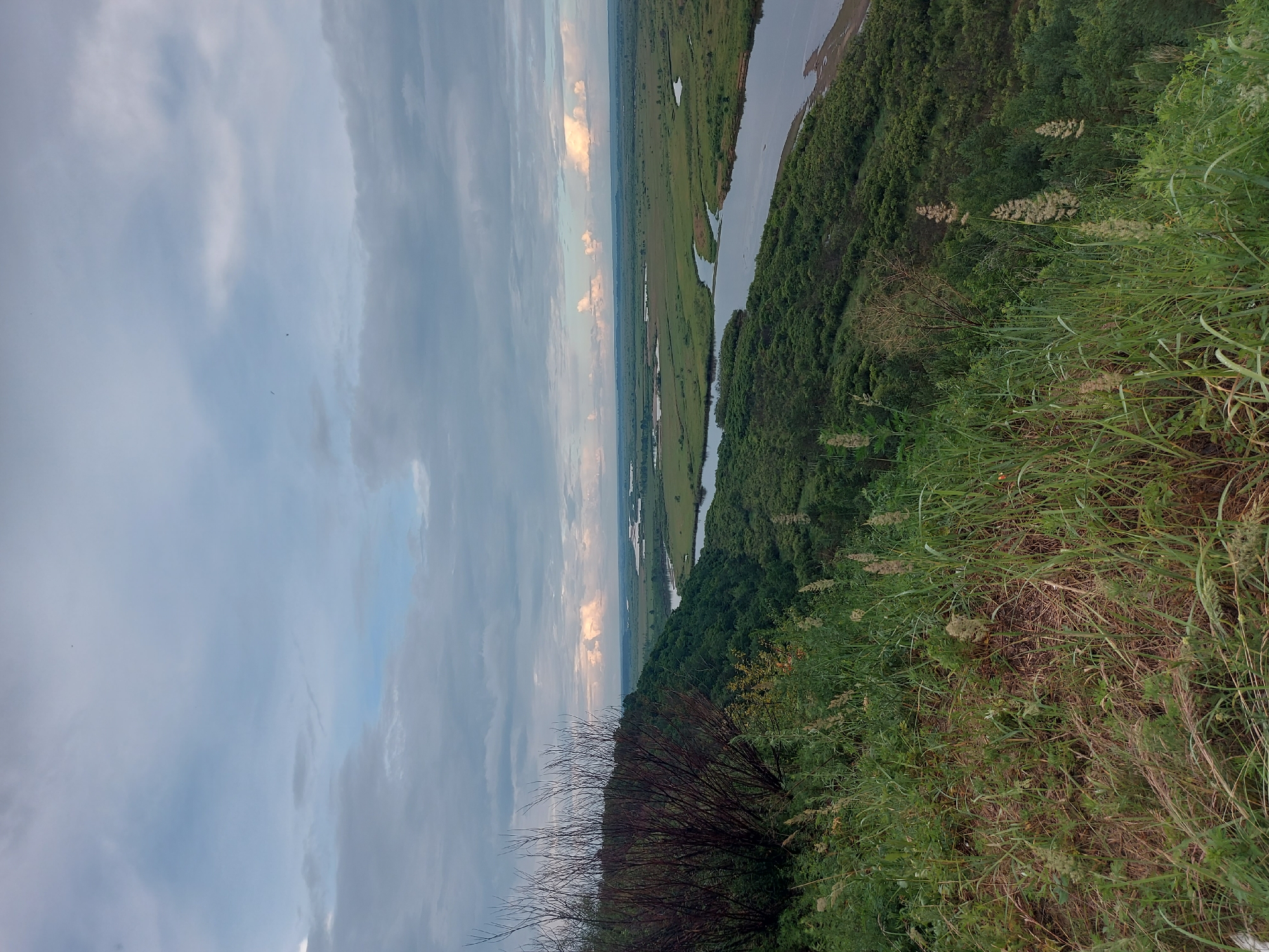 The image captures a panoramic view of a wide river winding through a vast, green landscape. In the foreground, tall grasses and dry brush occupy a steep incline covered in vegetation. The middle ground features a densely forested hillside sloping down towards the river, which is bordered by expansive green plains. In the distance, the landscape stretches to the horizon, characterized by a network of waterways and wetlands under a cloudy sky. The scene appears to be located in or near Parunovka, Russia.