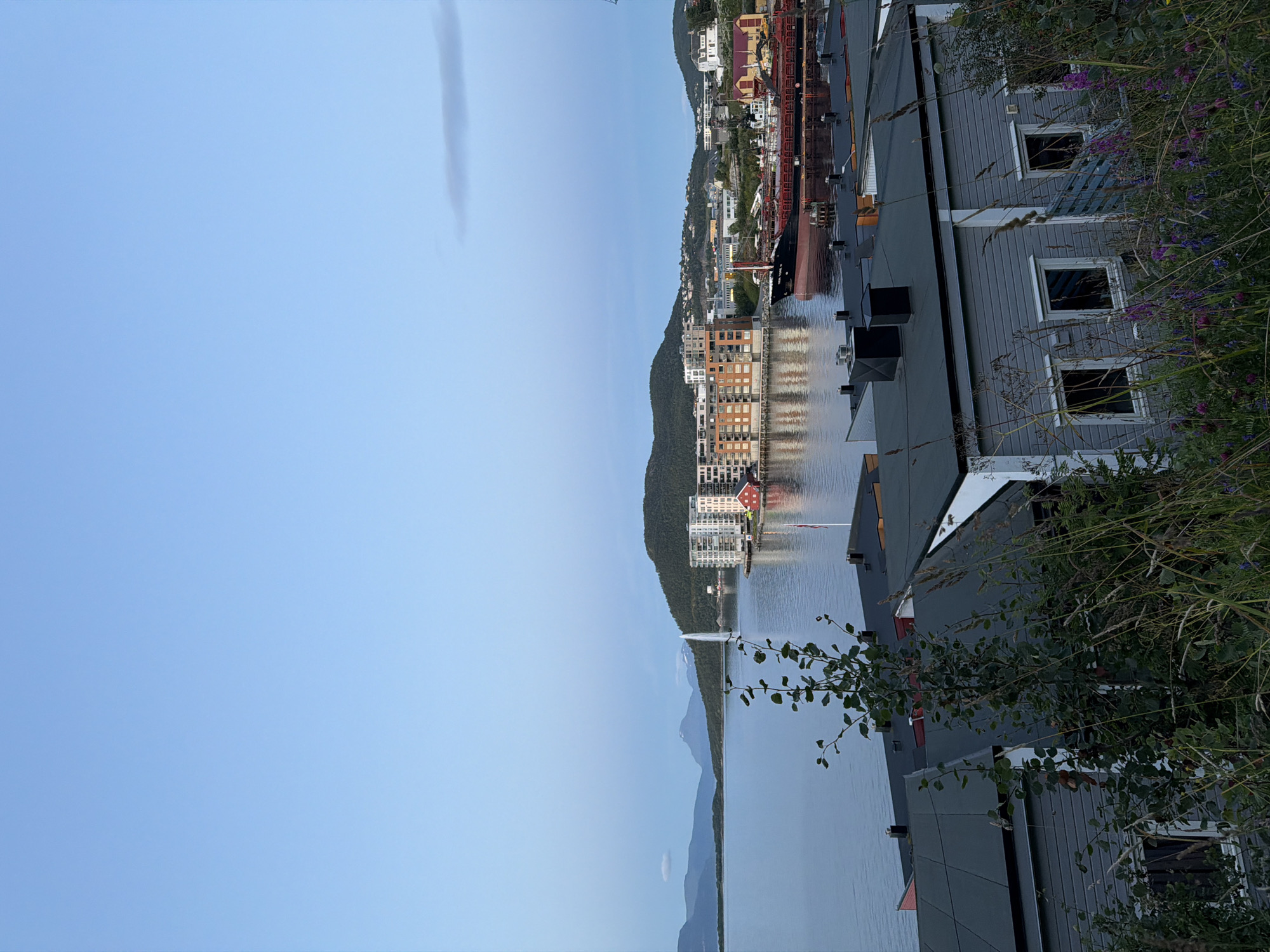 This image depicts a scenic view of Harstad, Norway, featuring a waterfront area with modern buildings, older structures, and a body of water. In the foreground, a cluster of gray and dark-roofed buildings with visible windows are partially obscured by tall grasses and greenery, with some purple wildflowers present. These buildings appear to be residential or commercial in nature and are lined up along the edge of the water.
Beyond these foreground structures, a large body of calm water stretches out. On the water, a tall fountain spray is visible in the middle ground, and further to the right, a large cargo ship with a black hull and red superstructure is docked. Behind the ship and fountain, a modern residential building with multiple floors and balconies is prominent, characterized by its beige and brick facade. Next to it, a smaller red building is situated at the water's edge.
The background is dominated by rolling green hills and mountains, some of which are capped with snow or have snow on their upper slopes. The sky is a pale blue, with subtle cloud formations visible, suggesting either early morning or late evening light. The overall impression is a serene and picturesque coastal town setting.