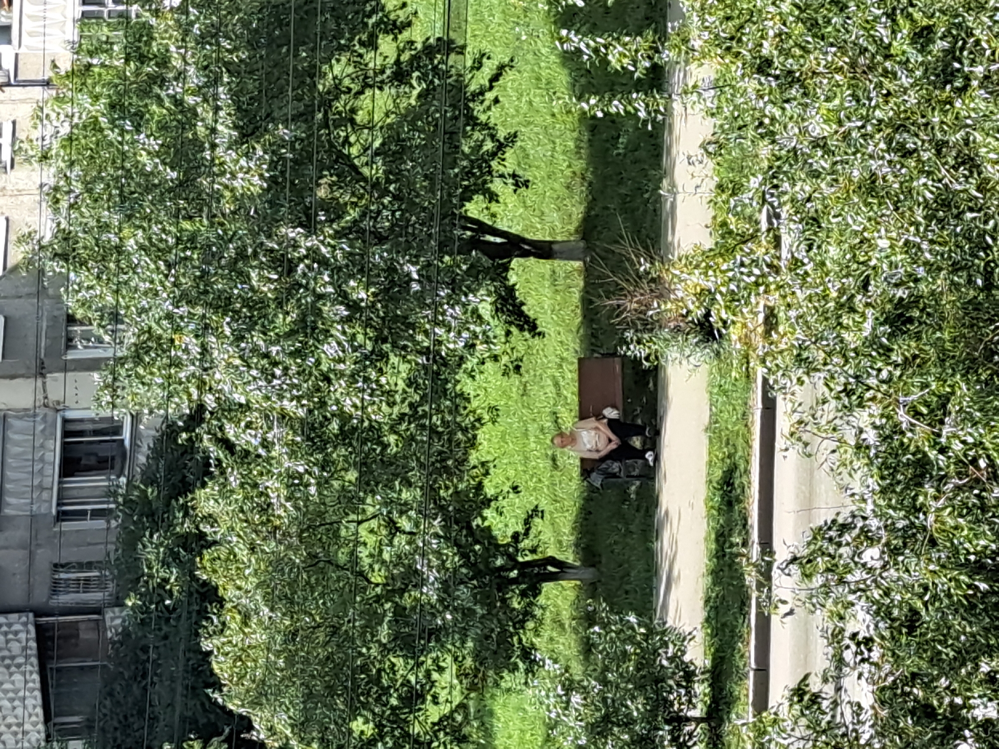 An elderly woman is sitting on a park bench under the shade of a tree. She is wearing a light-colored t-shirt and dark pants. A black bag is placed on the ground next to the bench. The background shows a grassy area, a sidewalk, and a building. The scene appears to be in a residential area of Irkutsk, Russia, likely during the daytime.