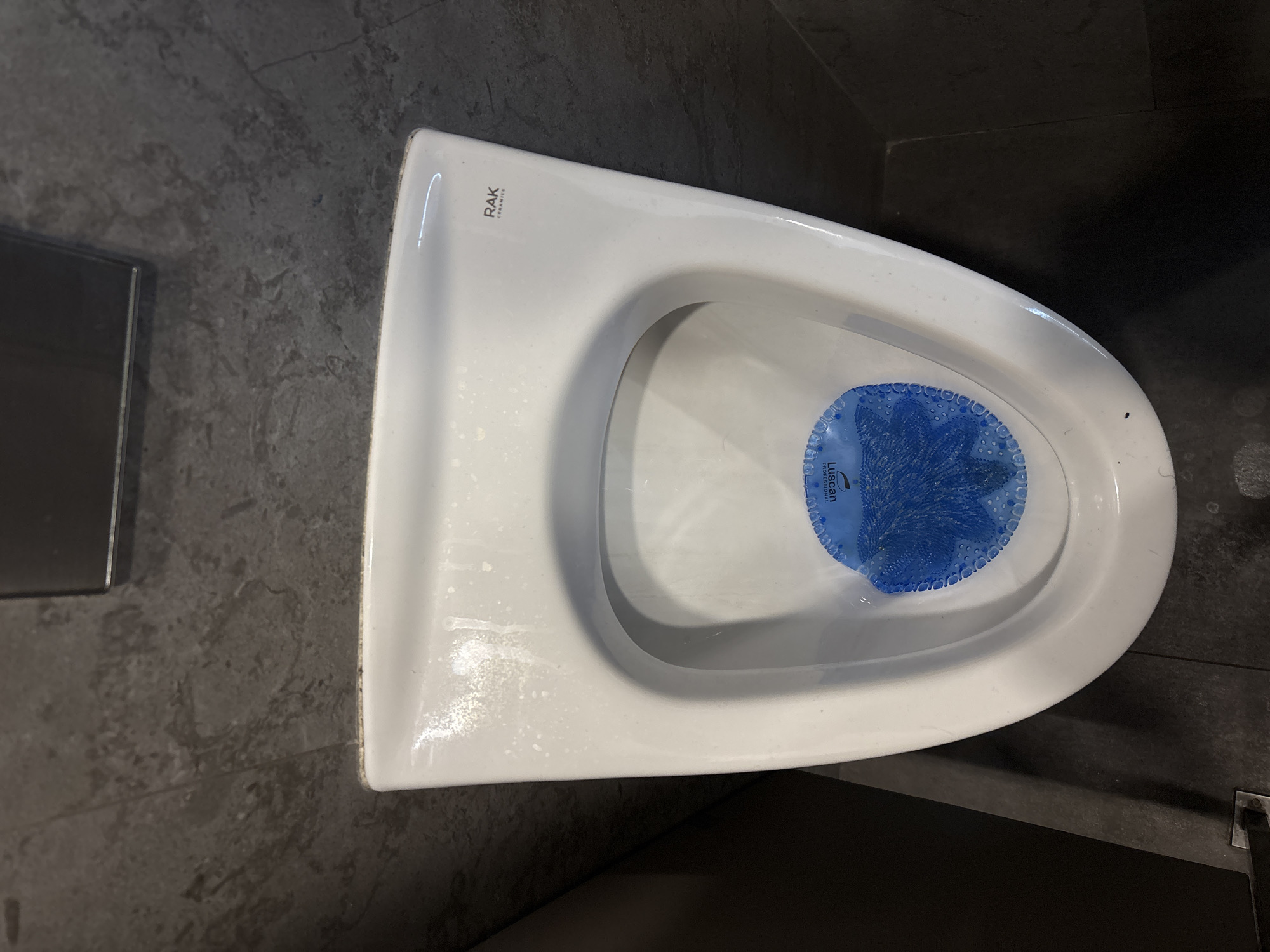 The image shows a top-down view of a white, wall-mounted toilet in a bathroom. The brand name "RAK Ceramics" is visible on the toilet bowl. Inside the bowl is a blue urinal deodorizer mat, labeled "Luscan Professional". The bathroom walls and floor are covered in dark grey tile. A portion of a metallic fixture is visible to the left of the toilet. This image does not provide enough information to identify the location in Yerevan, Armenia.