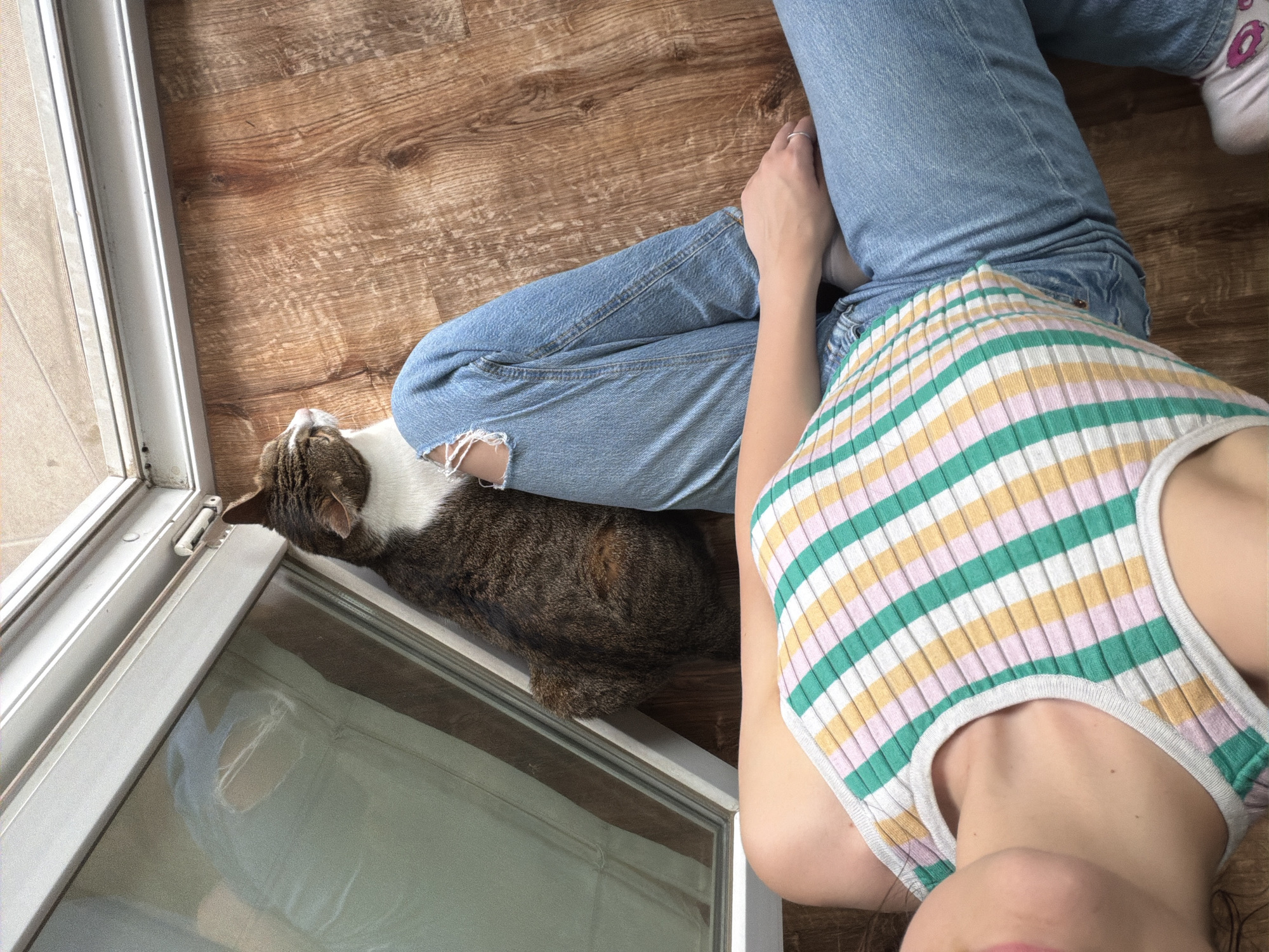 An overhead, high-angle view captures a domestic scene indoors, in the city of Unknown, Unknown. A person is lying on a light brown wooden floor, positioned diagonally across the frame from bottom left to top right. The person wears a ribbed tank top featuring horizontal stripes in white, pink, yellow, and teal green, and light blue denim jeans with a torn section over the right knee. A thin silver band is visible on the ring finger of the person's right hand. At the bottom right corner, a white sock with a pink donut pattern is partially visible on the person's left foot. Resting on the floor near the person's right leg is a brown and white tabby cat, seated upright and facing left, looking towards a large window or sliding glass door. The cat's back is turned to the viewer and the person. The window/door features a light-colored frame, possibly aluminum or PVC, and its glass pane reflects indistinct shapes. A latch mechanism is visible on the upper section of the window/door frame.