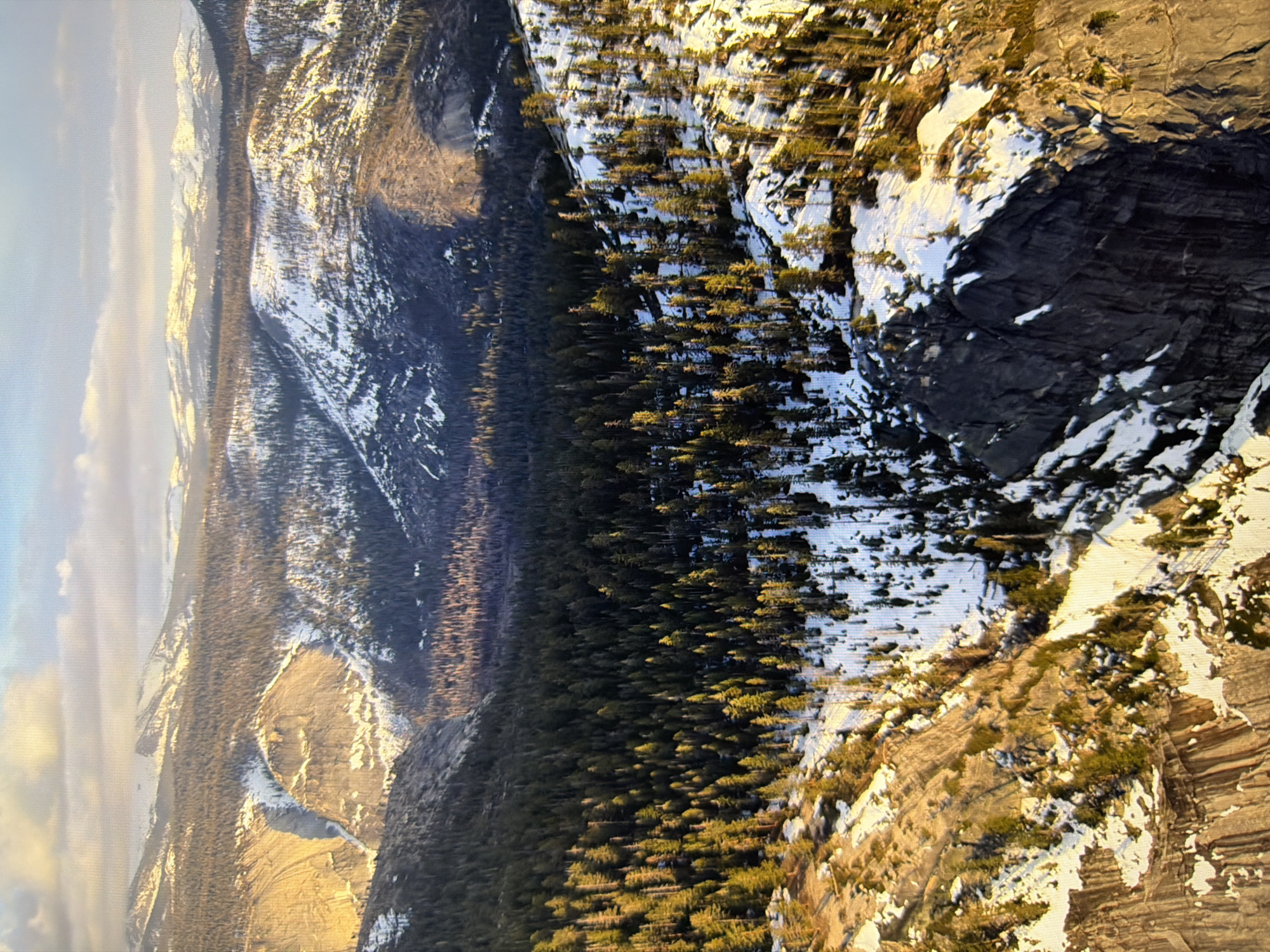 The image shows a vast mountain landscape covered in snow and evergreen trees, likely taken from a high vantage point. The sun is low in the sky, casting long shadows and illuminating the peaks and slopes with a warm, golden light. The terrain is rugged, with steep cliffs, deep valleys, and rounded mountain tops. Patches of snow are visible throughout the scene, indicating a cold environment. The forest consists of dense evergreen trees that cover the lower slopes and valley floors. In the background, more distant mountains are visible, also dusted with snow. There are no signs of human habitation or activity in the image. The location is a mountain wilderness, not the city of Kyiv, Ukraine.