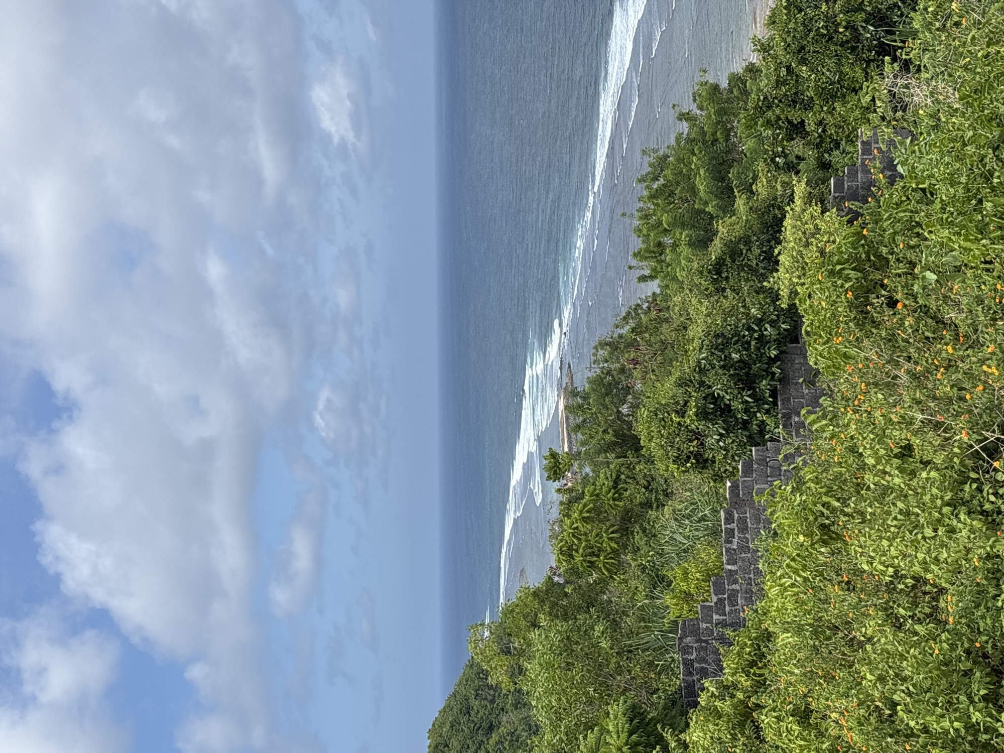 The image shows a coastal scene in Kuta Selatan, Indonesia. The view is oriented vertically, with the sky on the left and the ocean and coastline to the right. The sky is blue with scattered white clouds. The ocean is a deep blue with visible waves and white foam. A rocky shoreline is seen at the edge of the ocean, gradually rising to a cliff covered in lush green vegetation. In the foreground, a stone staircase is visible, partially obscured by dense green foliage with some orange flowers. The image suggests a scenic location with a pathway leading down to the beach or coastline.