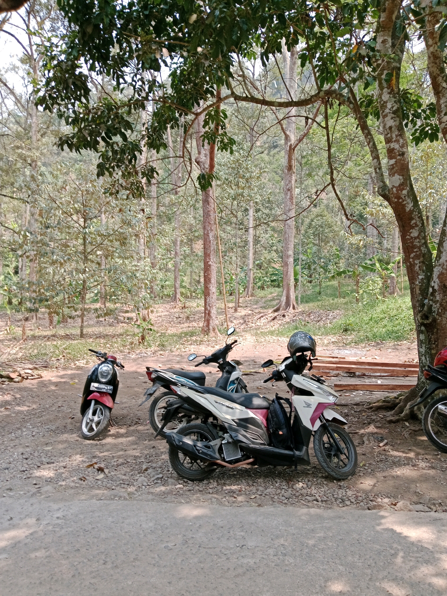 The image shows a dirt and gravel area in a wooded environment, likely a rural area near Leuwikoja, Indonesia. Several motorbikes are parked in the scene. In the foreground, a red and black scooter is parked to the left. To its right, a white and pink motorbike with a black helmet on its handlebars is positioned. Further to the right, the back of another motorbike is visible. The background consists of numerous trees with a canopy overhead, suggesting a forest or a plantation. The ground is covered with fallen leaves and small stones. The overall lighting indicates it is daytime.