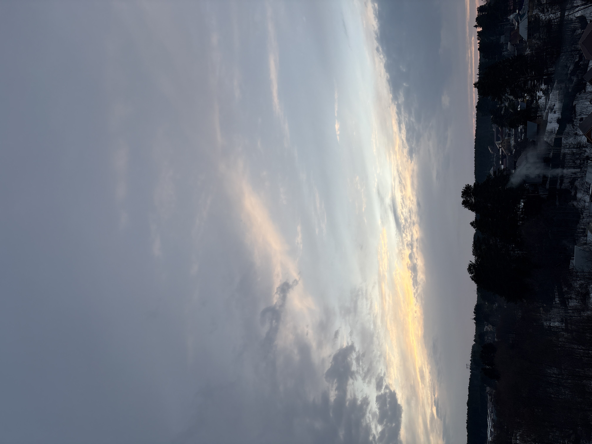 The image depicts a landscape in the city of Chaikovsky, Russia. The sky is predominantly gray with streaks of light peach or yellow, possibly during sunrise or sunset. A dense forest is visible, with rooftops and houses of a village or town interspersed within the trees. Some areas appear to have snow cover. The scene is generally dark, suggesting either early morning or late evening. There are no people visible. A plume of smoke rises into the air, indicating heating activity from one of the houses.