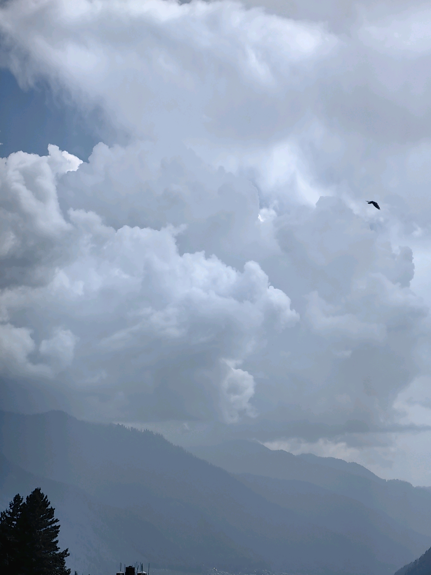 The image depicts a panoramic view of the Vashisht area in India, likely captured from an elevated vantage point. The sky is dominated by dramatic, voluminous clouds, with patches of blue sky visible in the upper left quadrant. A solitary bird is silhouetted against the clouds in the upper right portion of the frame, in flight. Below the clouds, a series of misty, layered mountain ranges recede into the distance. In the foreground and to the left, a dark, tall pine tree stands prominently. At the bottom of the image, faint outlines of structures suggest the presence of a village or settlement nestled at the base of the mountains. The overall impression is one of a natural, expansive landscape under a dynamic sky.