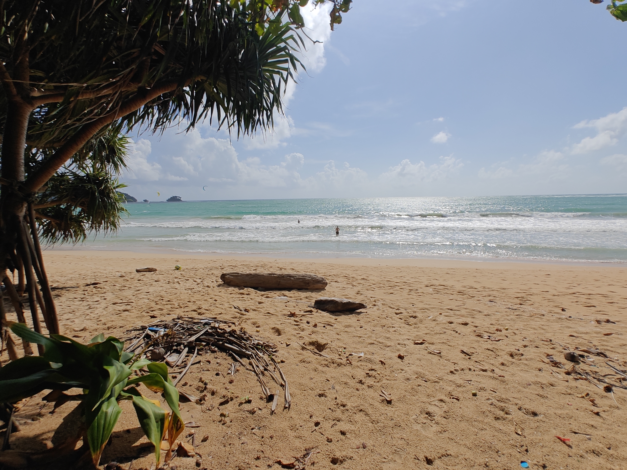 The image captures a serene beach scene in Sakhu, Thailand, likely on a sunny day given the bright sky and shimmering water. In the foreground, a cluster of dried palm fronds and branches lies on the golden sand, along with a piece of driftwood and a small stone. A green plant with broad leaves emerges from the sand on the left side.
The sandy beach stretches towards the ocean, where gentle waves are breaking. Further out in the turquoise water, a single individual can be seen standing, seemingly enjoying a swim or wading. Two kite surfers are also visible in the distance, adding a touch of activity to the tranquil seascape. The horizon is dotted with a few small islands. The sky is a brilliant blue, with scattered white clouds. The overall impression is one of natural beauty and peaceful recreation.