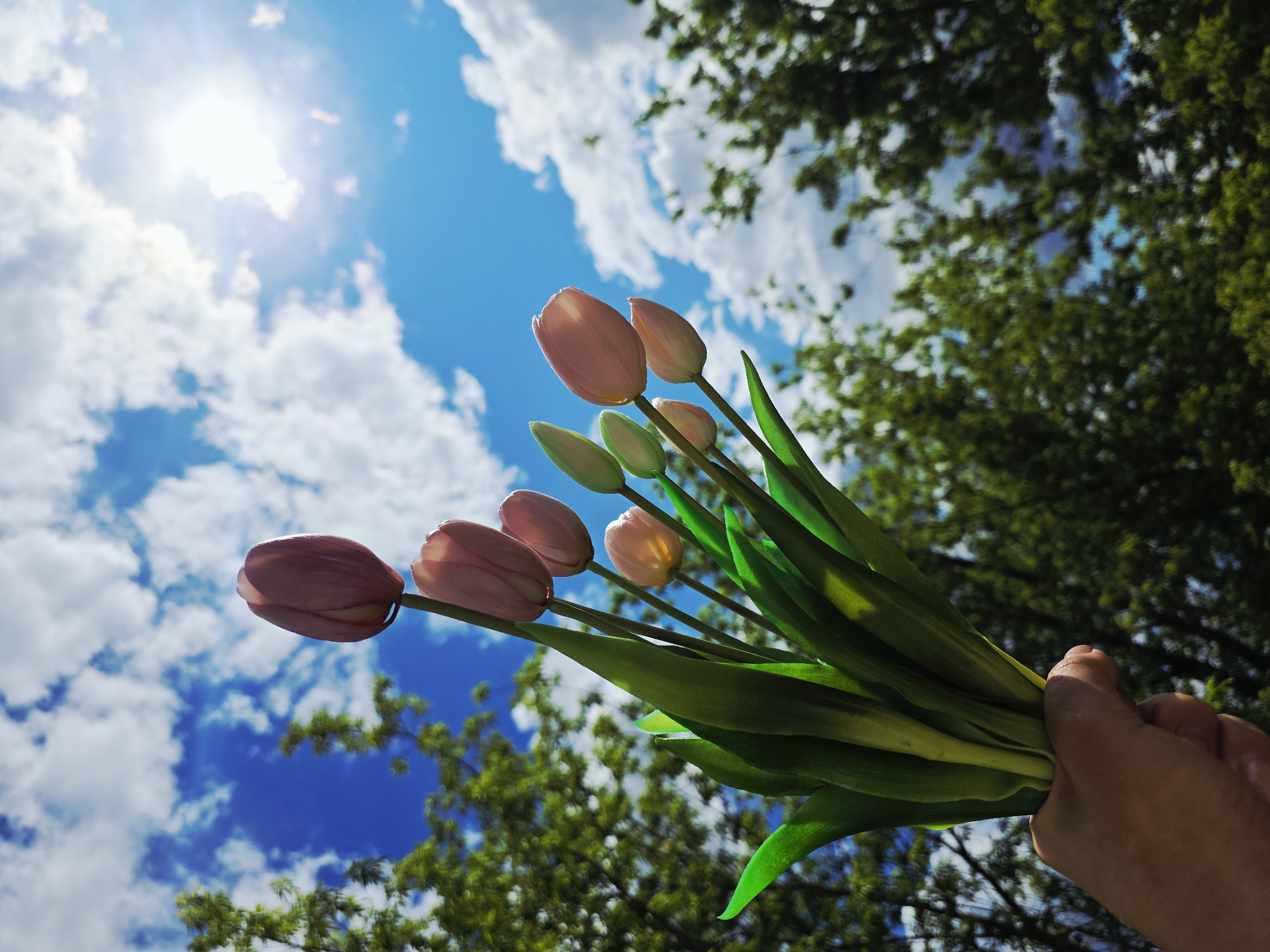 The photograph shows a low-angle view of a bouquet of pink tulips held in a hand against a backdrop of a bright blue sky with fluffy white clouds and green tree foliage. The sun is visible in the upper left corner, creating a lens flare effect. The tulips are at various stages of bloom, from closed buds to fully opened flowers. The hand is partially visible in the lower right corner, holding the stems of the tulips. The overall impression is a cheerful and vibrant scene. The location is Unknown, Unknown, based on the absence of specific location cues.