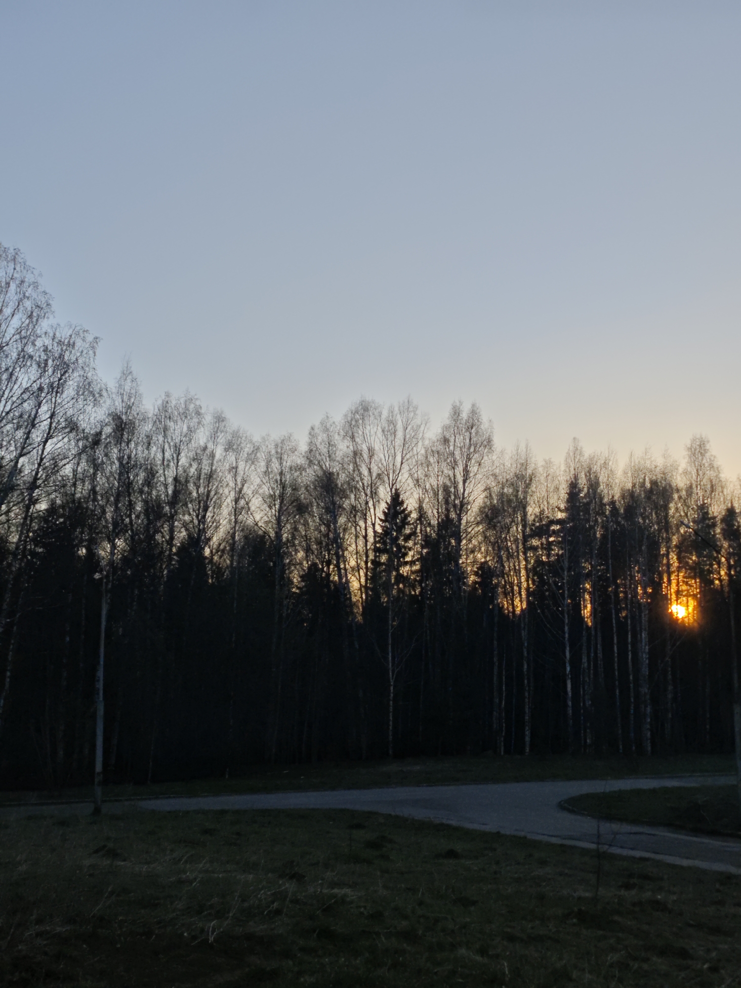The photograph depicts a wooded area at dusk in Марковский, Russia. The sky is a pale blue-gray, transitioning to orange where the sun is setting behind the trees. The trees are mostly bare, dark silhouettes against the fading light, with a few evergreens visible. A grassy field with a paved road running through it is in the foreground. The road curves to the right, disappearing into the trees. The overall scene conveys a sense of tranquility and natural beauty at twilight.