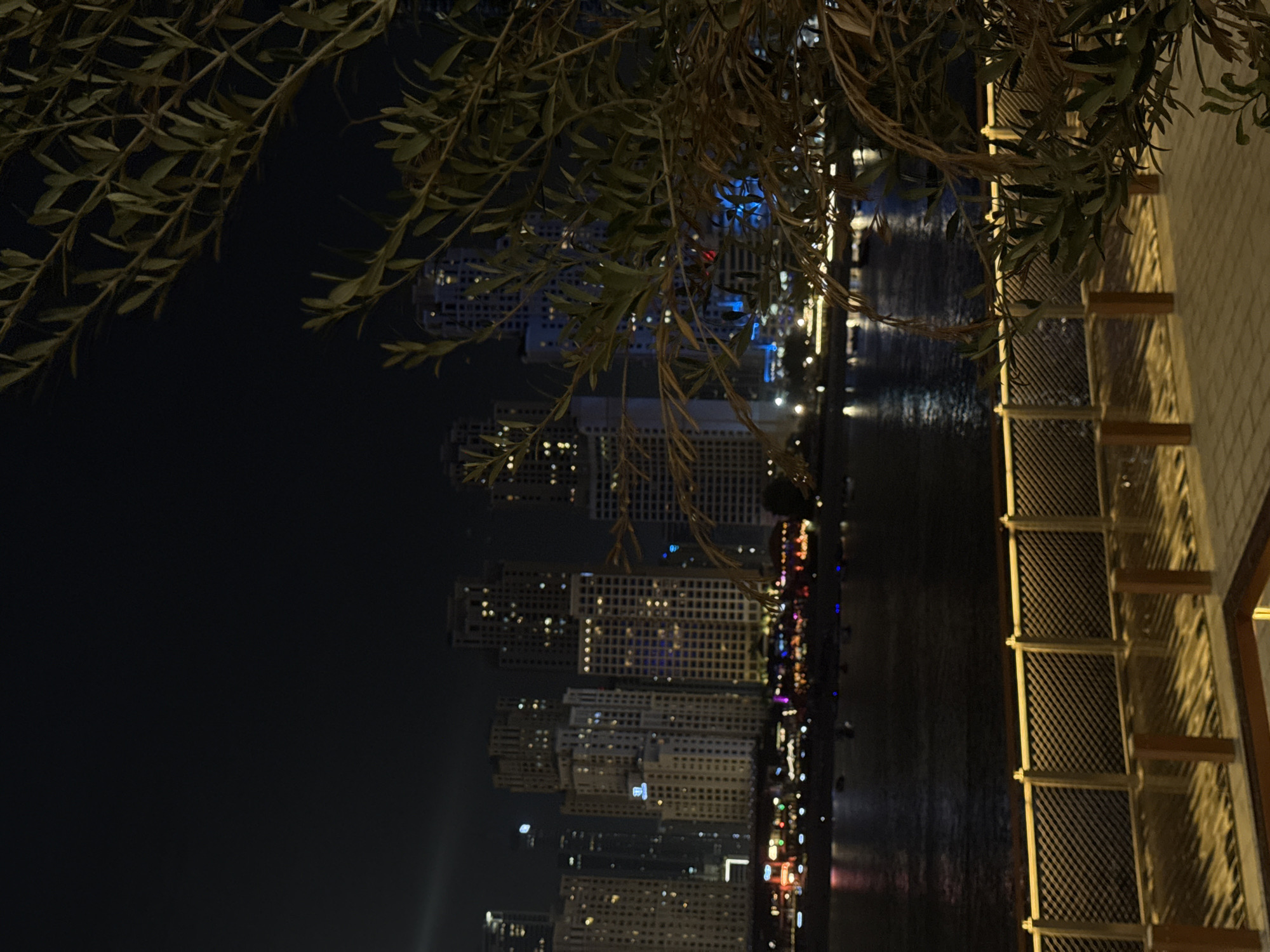 This nighttime shot, likely taken in دبي, United Arab Emirates, is oriented vertically and features a cityscape beyond a body of water. The cityscape consists of several illuminated high-rise buildings with numerous windows and lights visible. The water reflects some of these lights, creating shimmering patterns on its surface. In the foreground, a section of a walkway or terrace is visible, constructed with light-colored materials and featuring a railing with a grid-like design. Overhanging from the top of the frame, branches with leaves are present, partially obscuring the view of the cityscape. The overall atmosphere is dark, with the city lights contrasting against the night sky.