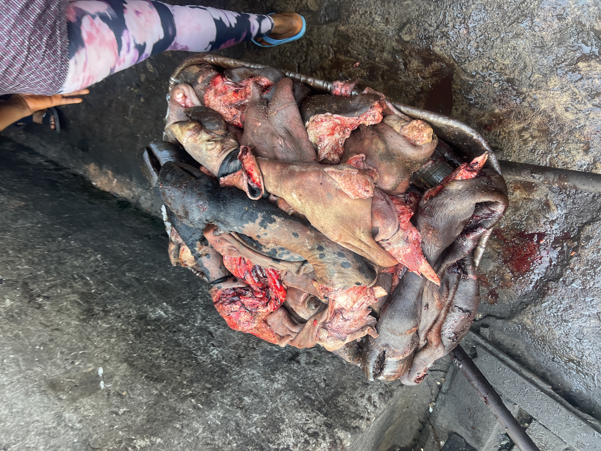 The image depicts a metal basin filled with pig heads and trotters, exhibiting signs of butchering (blood, severed parts). The location is Nkpor, Nigeria. A person wearing floral leggings and sandals stands adjacent to the basin. The background shows a wet, concrete surface.