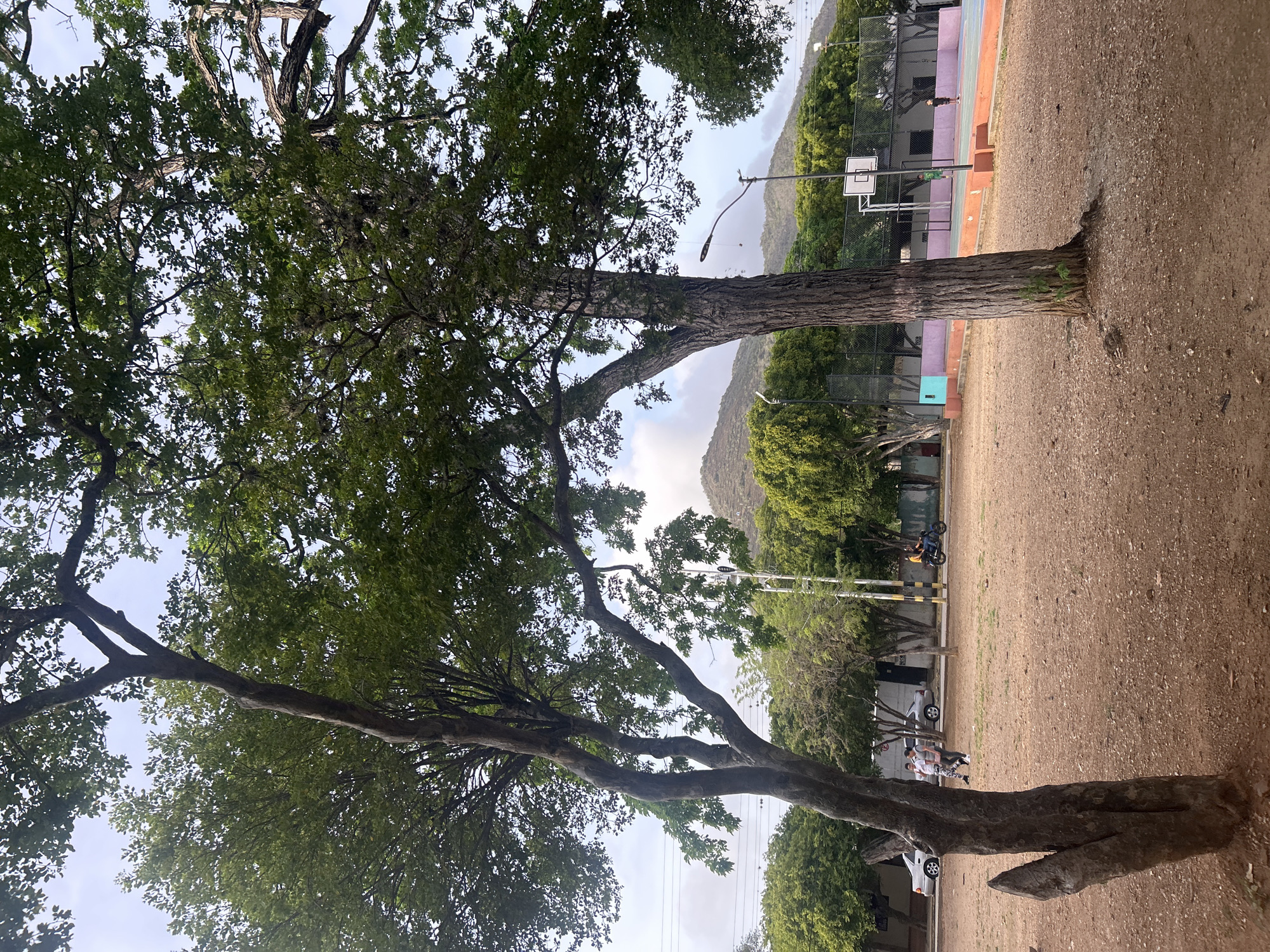 The image depicts an outdoor scene in Santa Ana, Venezuela, featuring a park area with a basketball court in the background. Two large trees dominate the foreground, with their branches extending across the frame. In the mid-ground, a dirt path is visible, with several people walking and a motorcycle with a rider. A silver car is parked on the side of the road. Beyond the path, a fenced basketball court is present, with a basketball hoop and backboard. Two individuals, possibly children, are visible on the court. Trees and buildings line the perimeter of the park, and rolling hills with vegetation are visible in the distance under a cloudy sky. A lamppost is positioned near the basketball court.