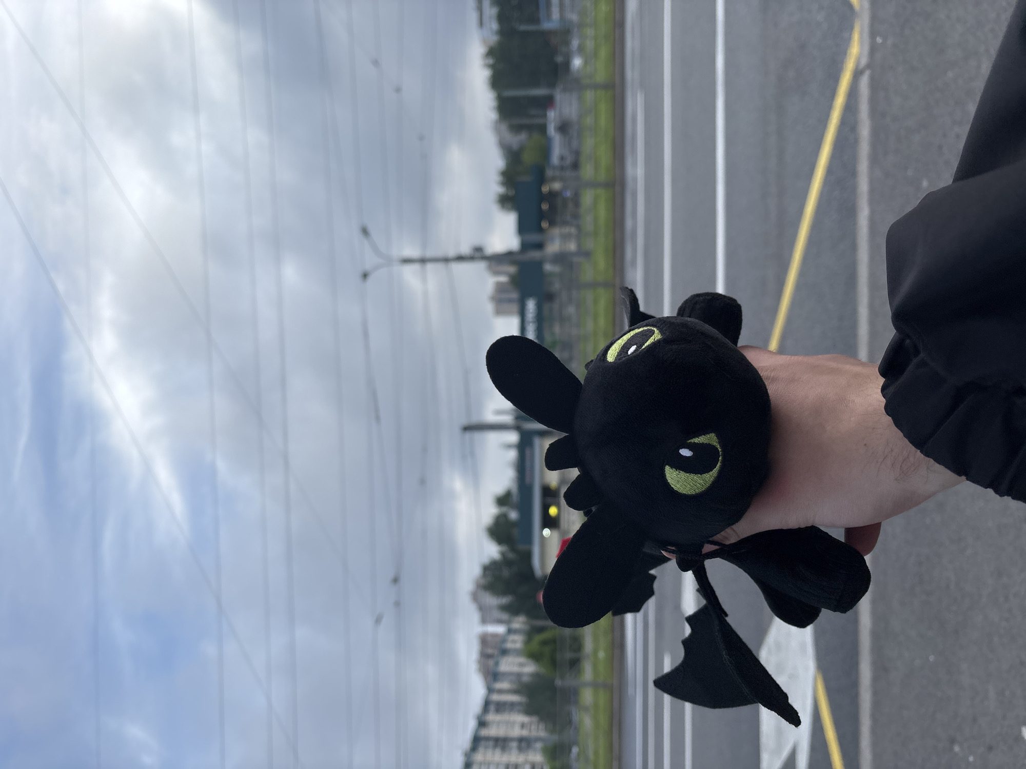 A person's hand holds a black stuffed toy, resembling Toothless from How to Train Your Dragon, in front of a blurred background of a street in Saint Petersburg, Russia. The background shows apartment buildings, trees, a street light, and overhead power lines against a cloudy sky. The street has white and yellow lane markings and a pedestrian crossing.
