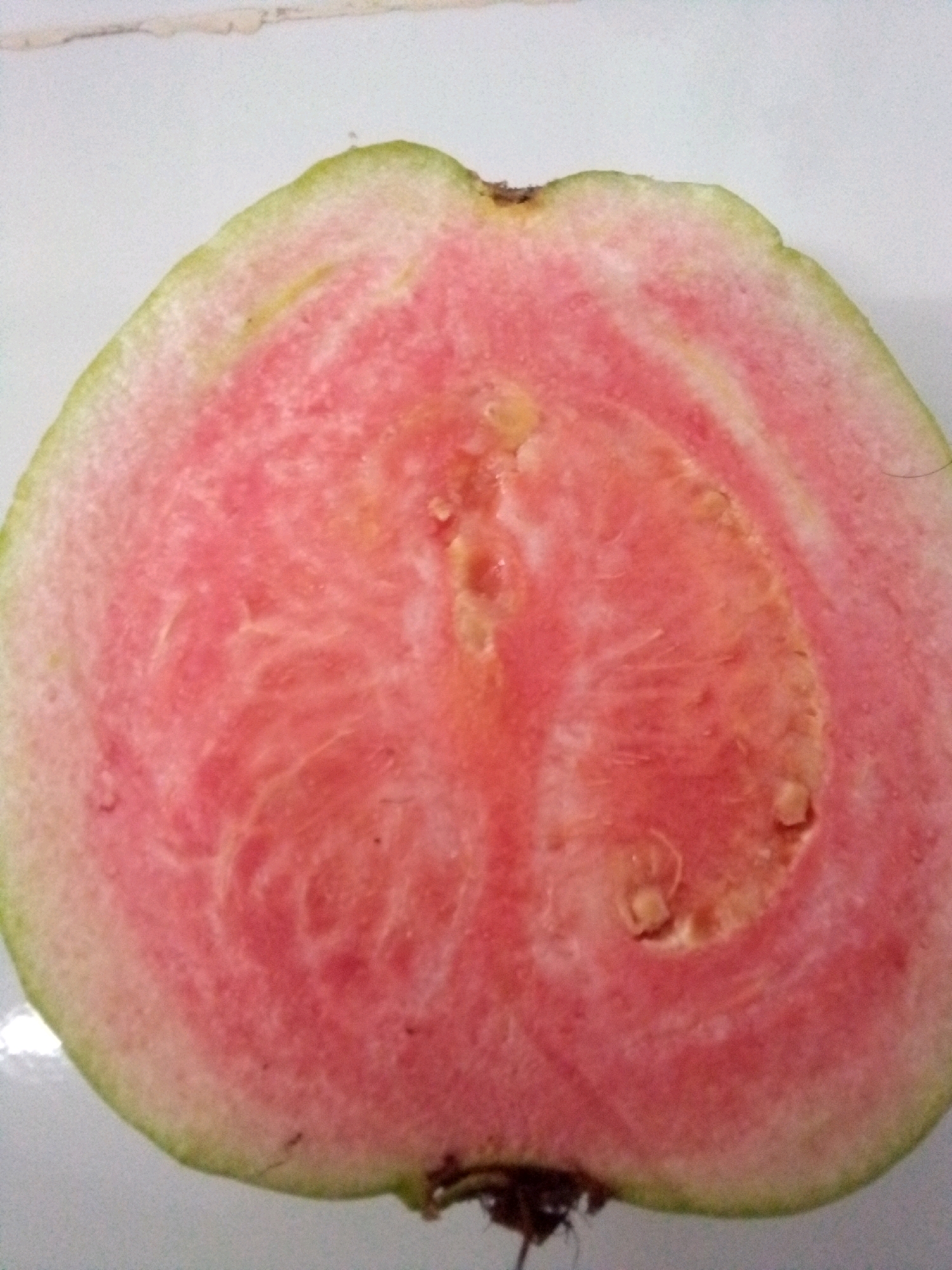 A close-up, overhead shot shows a halved pink guava. The fruit is cut horizontally, revealing a vibrant pink flesh with paler pink streaks. Small, light-colored seeds are visible within the fleshy core. The rind is a pale green with a slight yellowing in some areas. The fruit rests on a light-colored, possibly tiled surface. The background is out of focus and appears to be a wall or countertop. The image is well-lit, with the light source originating from above and slightly to the left, casting subtle shadows. No people or specific city landmarks are visible.