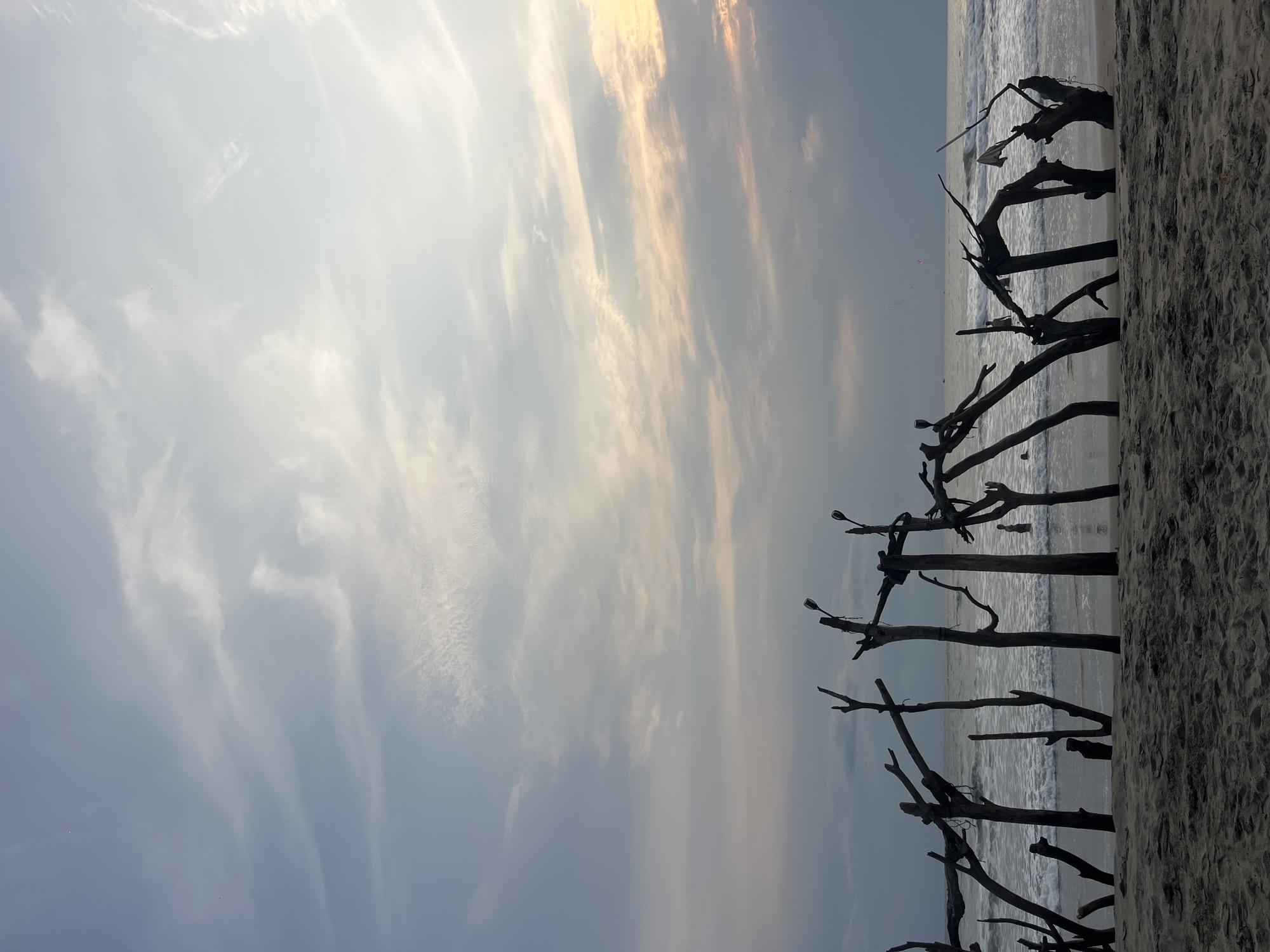The image depicts a beach scene, possibly at sunset, in Ashvem, India. A sandy beach occupies the right foreground, adjacent to the ocean. The water appears calm, with subtle wave patterns visible. Silhouetted tree trunks and branches are situated between the beach and the ocean. The sky takes up the majority of the image, featuring light clouds tinged with muted yellow hues near the horizon, suggesting either sunrise or sunset. There may be a person in the water in the far background, however this is indistinct.