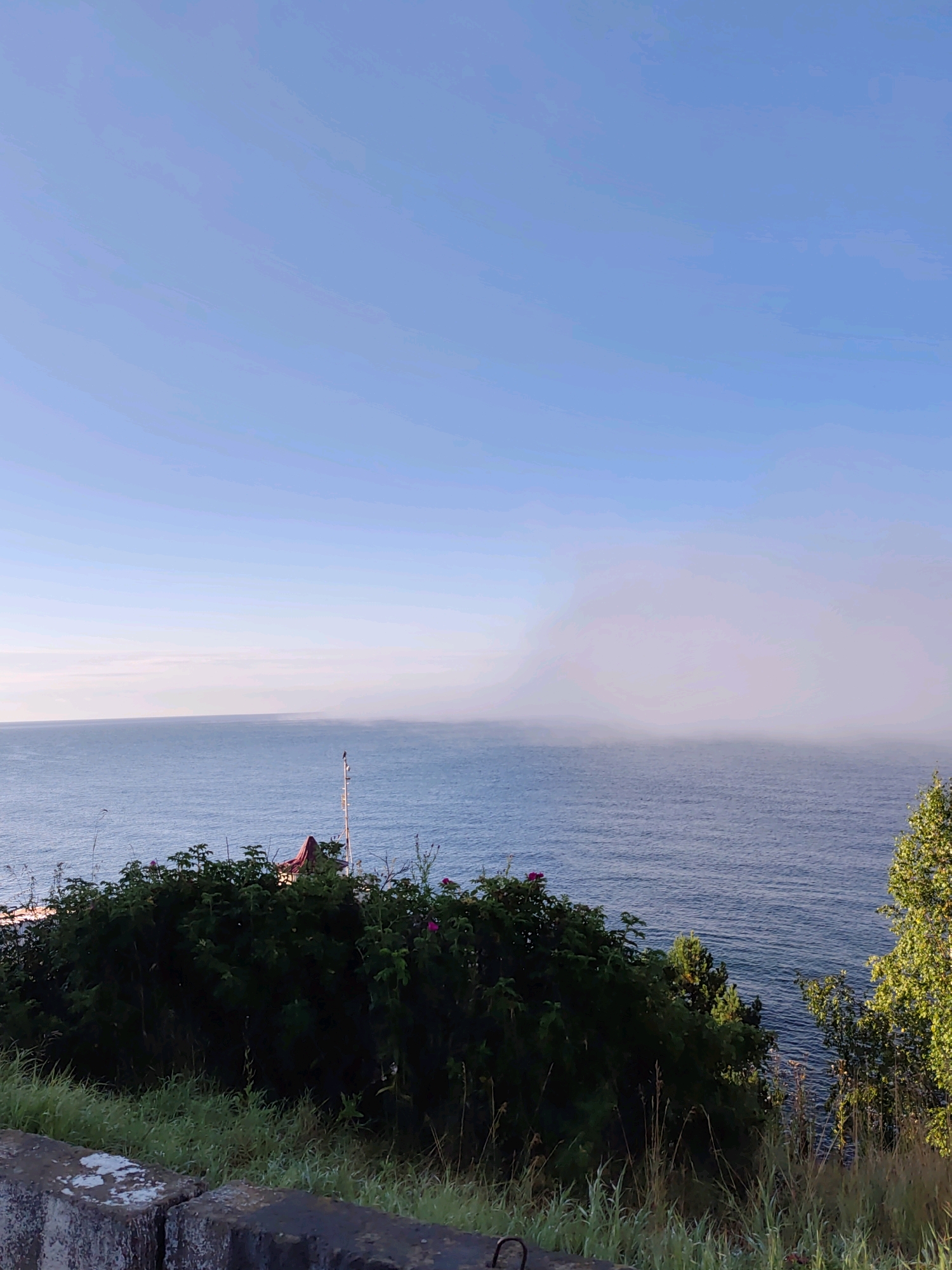 A wide-angle shot captures a serene coastal view in Listvyanka, Russia. The clear blue sky stretches across the top of the frame, meeting the calm, deep blue water of a lake or sea. A light mist hovers over the distant horizon, obscuring a faint landmass. In the foreground, a dense green hedge runs along a slight incline, with a few scattered pink flowers and tall grasses. A red-roofed structure is partially visible within the foliage, and a tall pole with a white flag or beacon stands nearby. The bottom of the image shows a rough, concrete barrier or wall, weathered and textured, with a hint of green grass growing beside it.