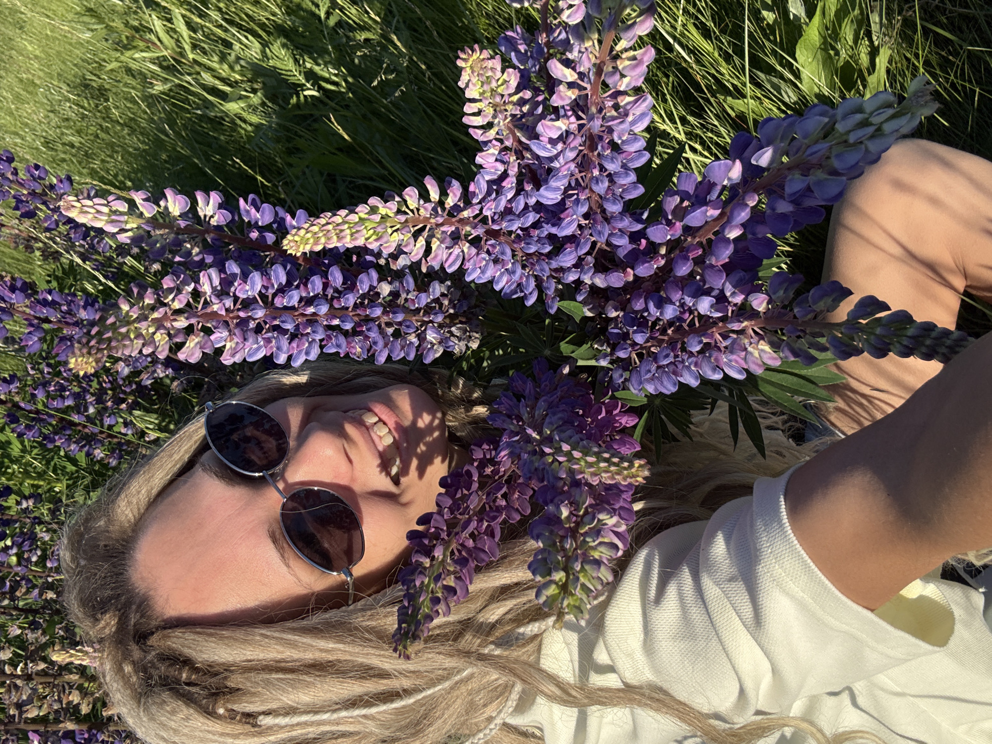 An adult female with blonde dreadlocks and a light-colored complexion is depicted from an overhead perspective, reclining in a field of green grass and purple flowers. She is smiling broadly, revealing her teeth, and wearing dark, oval-shaped sunglasses with thin silver frames. Her hair, styled in numerous dreadlocks, frames her face and extends over her shoulders. She wears a light cream or off-white short-sleeved top with a ribbed cuff and light brown or peach-colored lower garments. A large cluster of purple lupine flowers, with some exhibiting pinkish-lavender hues and green tips, partially obscures her upper body and extends into the foreground and background. The scene is brightly illuminated by direct sunlight, casting distinct shadows on the grass, flowers, and the subject's face. The location is an outdoor natural environment, a field, in the city of Unknown, Unknown.