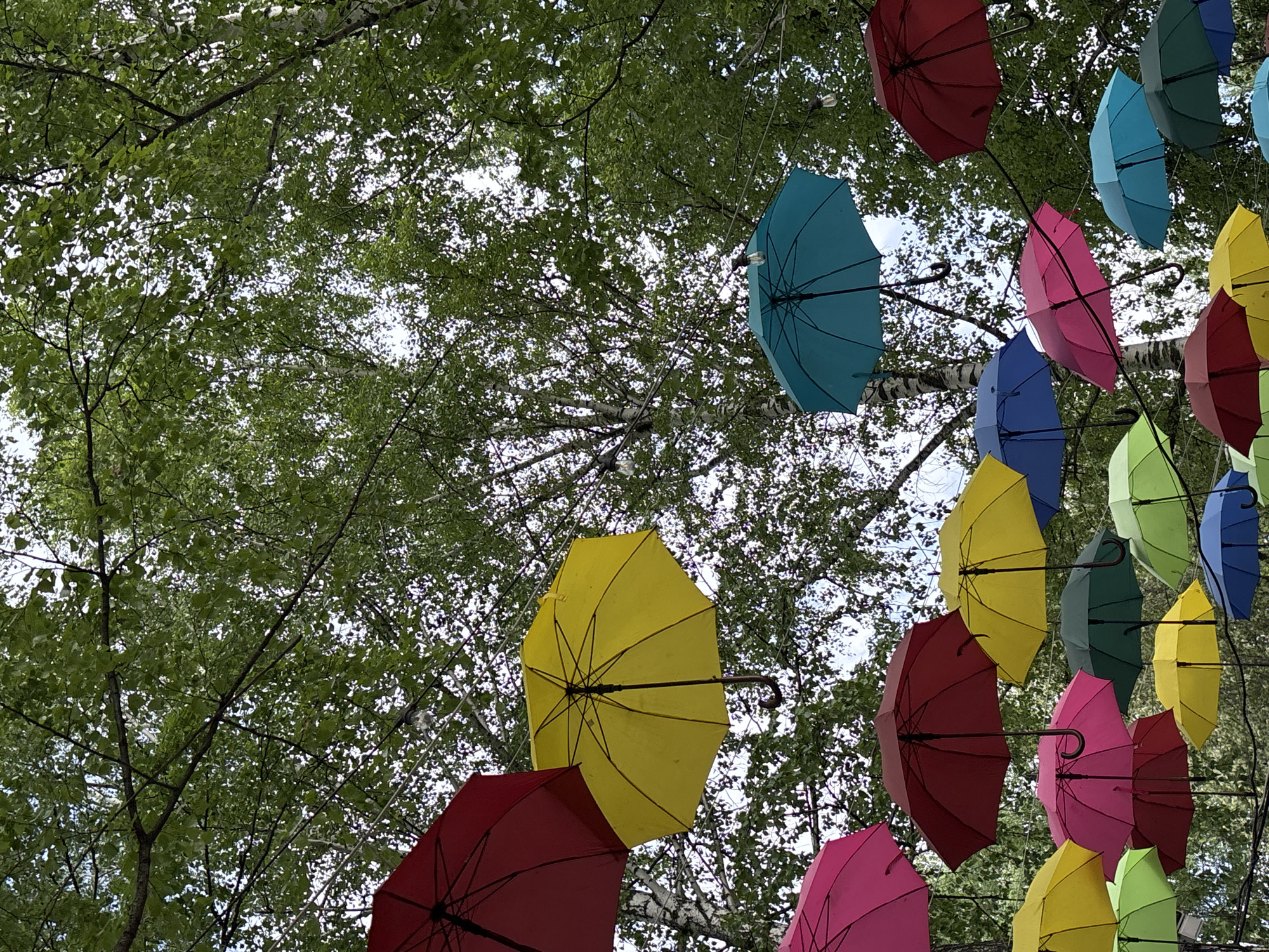 The image depicts a canopy of colorful umbrellas suspended above a street. The umbrellas are in various hues of red, pink, blue, green, and yellow, positioned against the backdrop of tree branches and foliage. The scene likely takes place in a public outdoor space in Izhevsk, Russia, known for this installation. The branches create a textured background, with hints of sky peeking through the leaves.