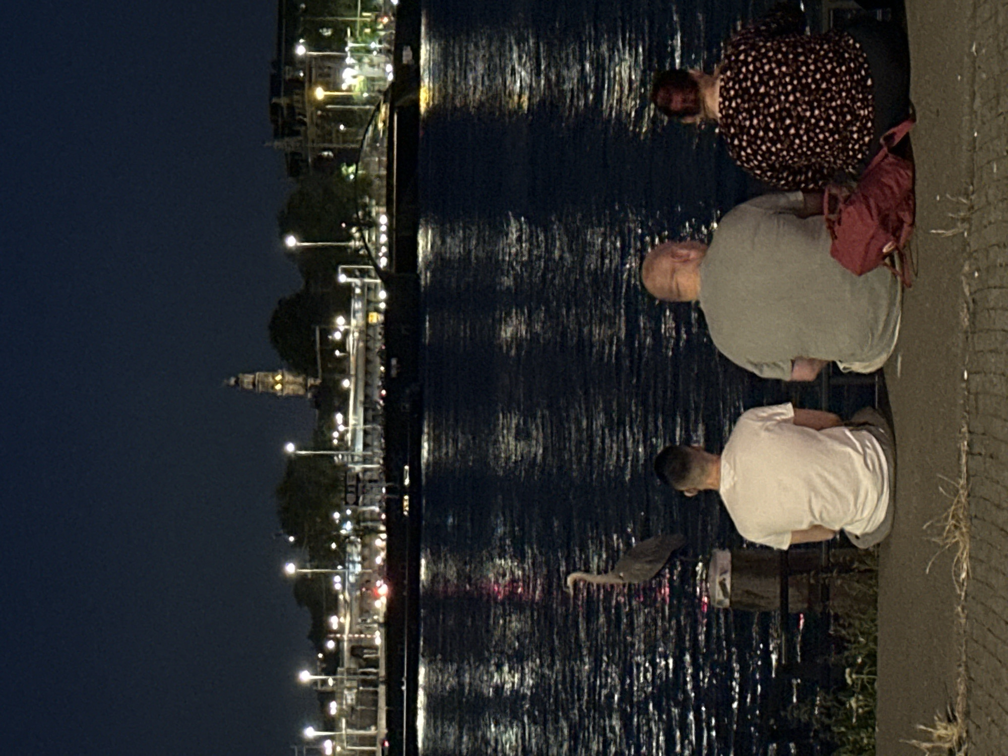 The image depicts a nocturnal scene along a waterfront in Amsterdam, Netherlands, possibly near the Amstel River or IJ waterway, given the presence of a prominent tower in the distance with illuminated windows, characteristic of Amsterdam's historic architecture, and the overall city skyline with numerous lights. In the foreground, three individuals are seated on a ledge facing the water. On the left, a person with short hair wears a white t-shirt and light-colored trousers, seated with their back to the camera. To their right, a person with a shaved head and a gray t-shirt and light-colored trousers is also seated. To the far right, a person with dark hair tied back, wearing a dark patterned blouse and dark trousers, is seated. A red backpack rests on the ground near the seated individuals. In the water, a heron stands alert on a wooden post. The water reflects the city lights, creating a shimmering effect. The background features a cityscape with various illuminated buildings and streetlights, and a bridge-like structure. The atmosphere is calm and serene, with the city lights creating a backdrop of urban activity.