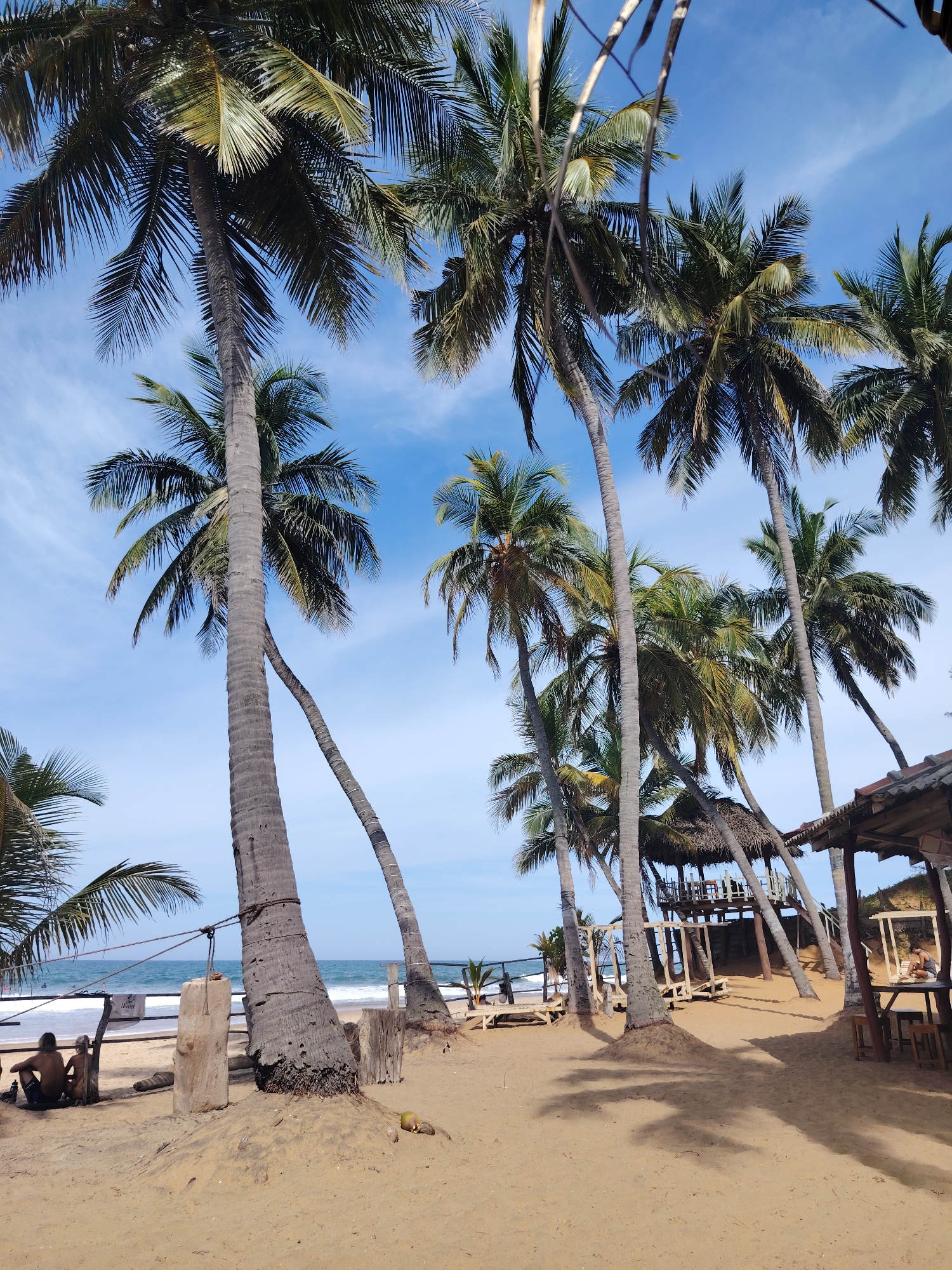 The image depicts a tropical beach scene in an unknown location within an unknown city. Tall palm trees dominate the foreground and midground, their fronds reaching towards a clear blue sky with wispy white clouds. The sand is a light tan color, casting distinct shadows from the palm trees. In the distance, the ocean meets the shore with gentle waves.
On the sand, two individuals are seated facing the ocean, appearing relaxed. Further back, there are some wooden structures, including a raised hut with a thatched roof, and open-air seating areas that suggest a resort or restaurant. One of these structures has a roof and an open side with tables and chairs. A single coconut rests on the sand near the base of a large palm tree. A rope is tied to a wooden post and a palm tree, possibly part of the beach's infrastructure. The overall atmosphere is one of tranquility and natural beauty.