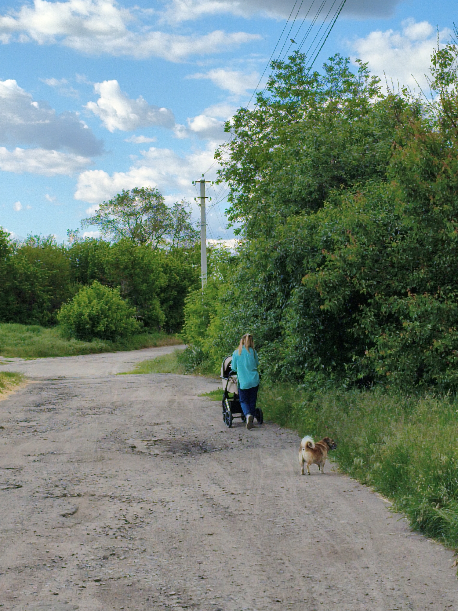 A medium shot depicts a woman walking away from the viewer, pushing a stroller along a dirt road, accompanied by a small dog. The location, Unknown, Unknown, appears rural. The sky is partly cloudy, and there are numerous trees and vegetation on both sides of the road. A utility pole is visible in the background.